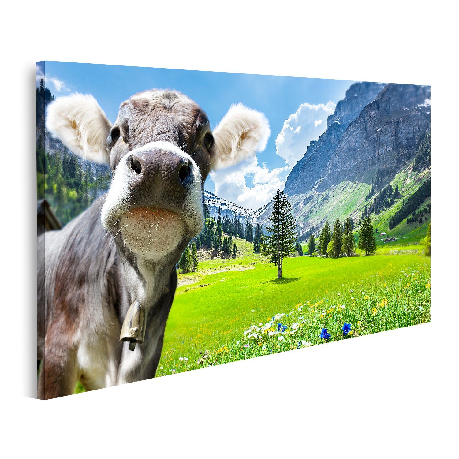 islandburner Leinwandbild Bild auf Leinwand Kuh in den Schweizer Alpen Wandbild Poster Kunstdruc