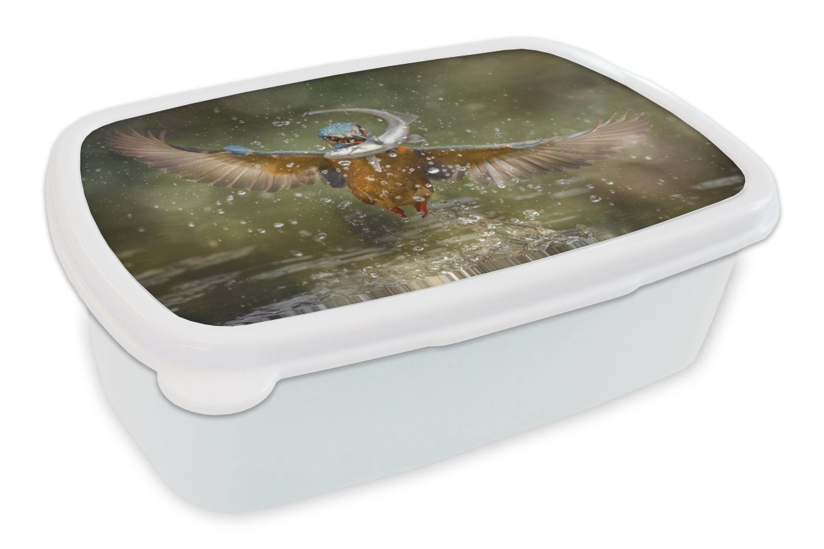 Eisvogel Wasser, Fisch Mädchen Lunchbox weiß (2-tlg), - und Kunststoff, für - für Erwachsene, MuchoWow Brotbox und Brotdose, Kinder Jungs