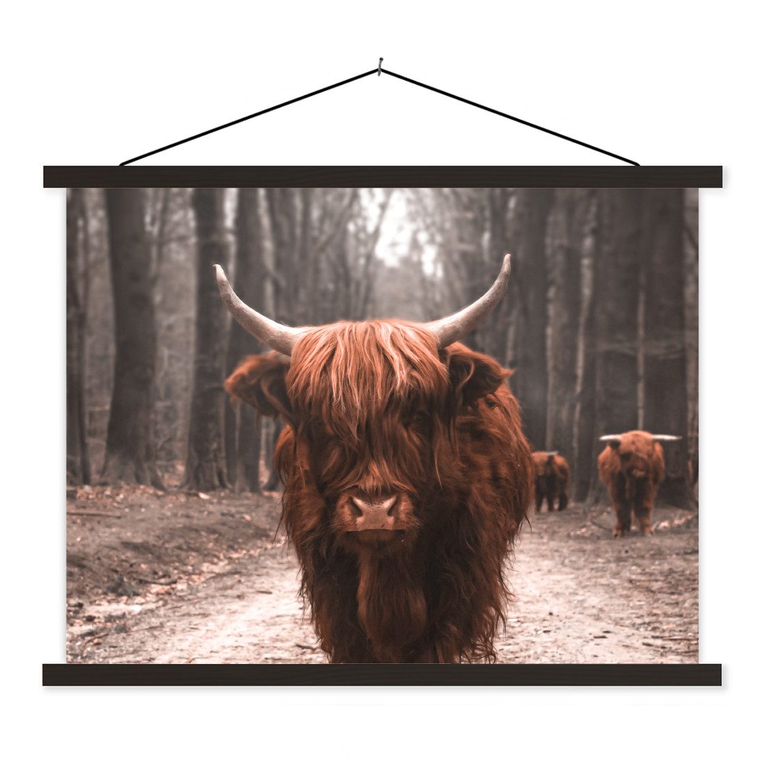 Poster Schottischer Hochländer - Wald - Kuh - Tiere - Natur