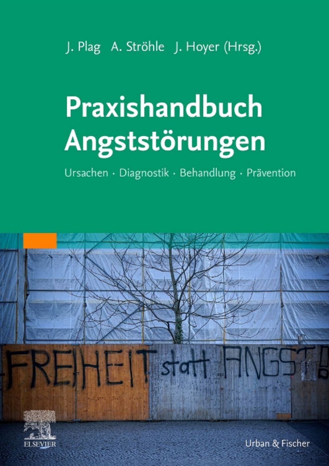 Praxishandbuch Angststörungen Ursachen - Diagnostik - Behandlung - Prä / diverse
