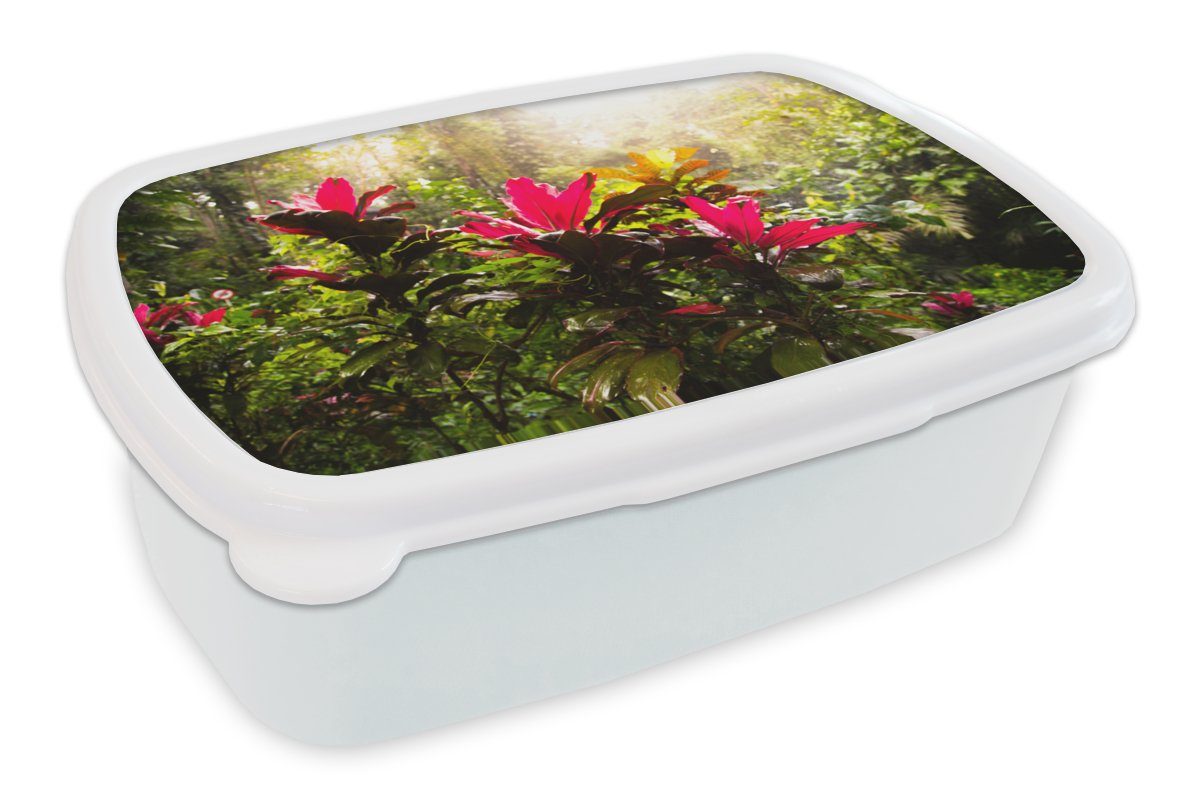 MuchoWow Lunchbox Schöne Blumen inmitten des Dschungels, Kunststoff, (2-tlg), Brotbox für Kinder und Erwachsene, Brotdose, für Jungs und Mädchen weiß