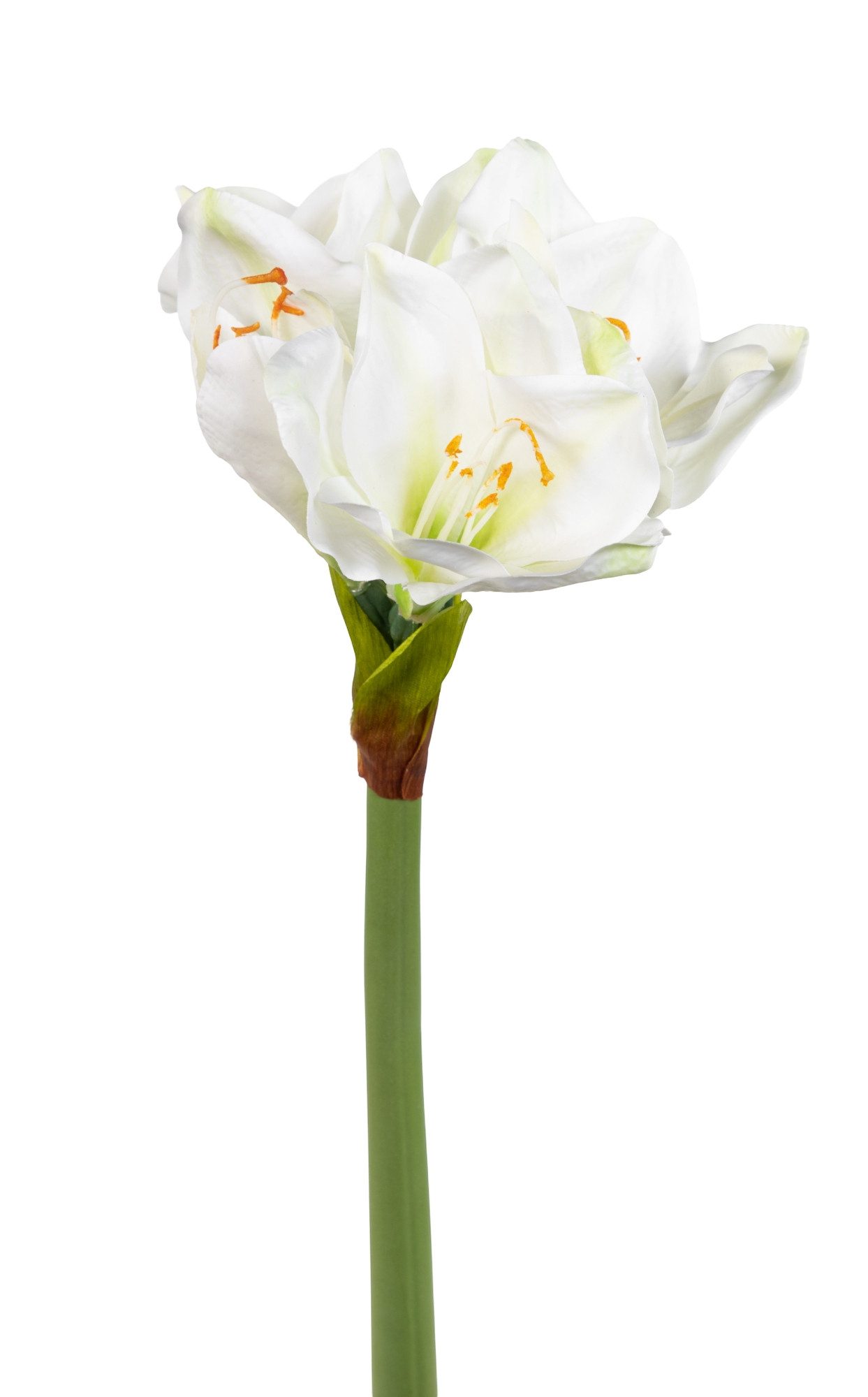 Kunstblume Amaryllis Real Touch DP Dekoblumen künstliche Blumen Ritterstern günstig online kaufen
