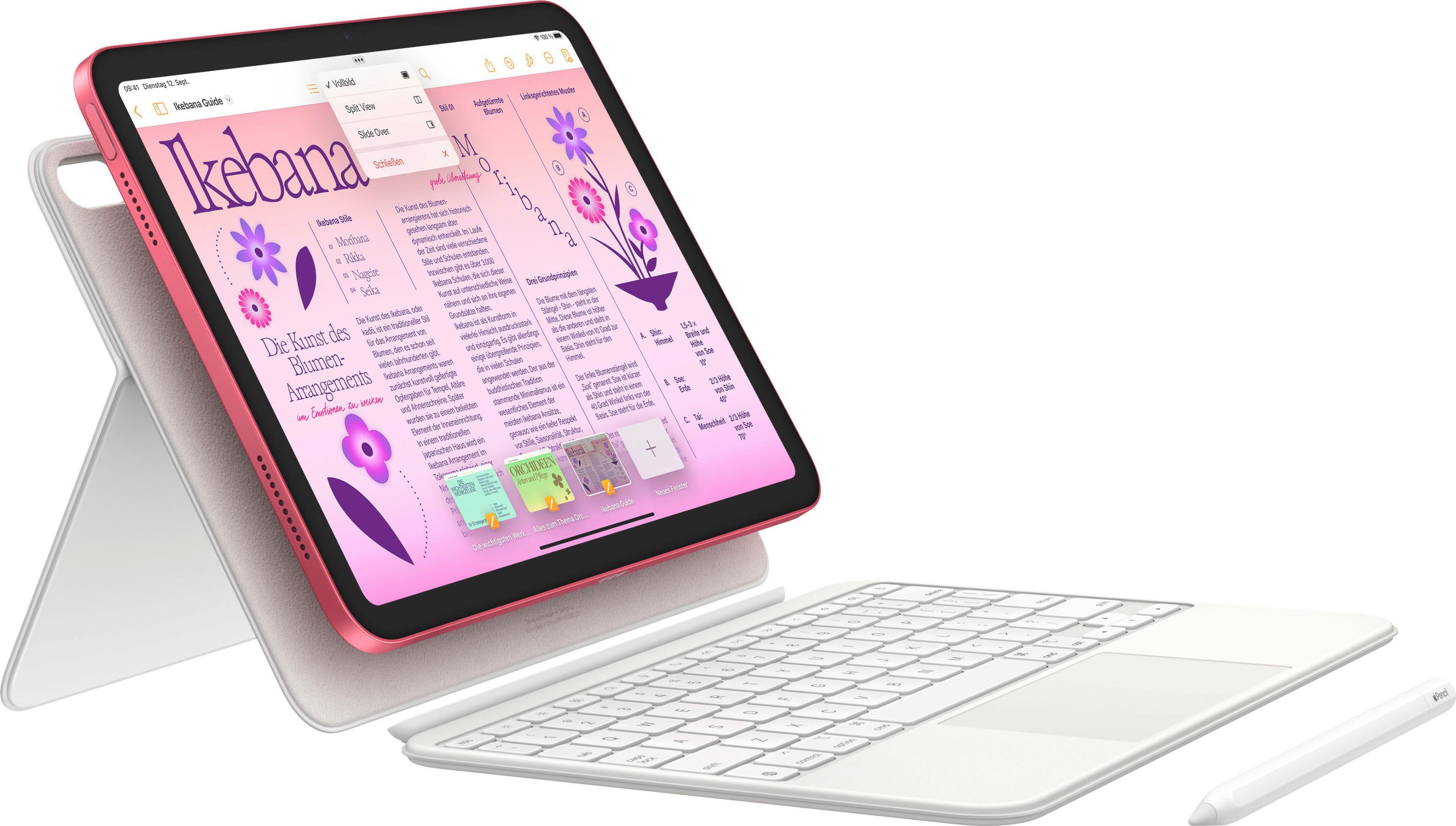 2022 (10 GB, pink Wi-Fi (10,9", Apple Tablet 64 Generation) iPad iPadOS)