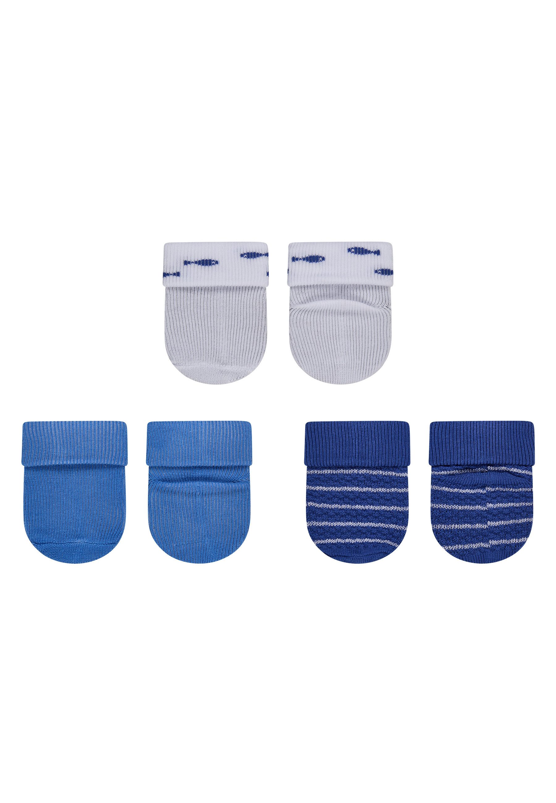 Sterntaler® Feinsöckchen Erstlingssocken 3er-Pack Fische (3-Paar, 3er-Pack) Erstlingssocken 3erPack m Umschlag, hoher Baumwollanteil, Geschenkbox