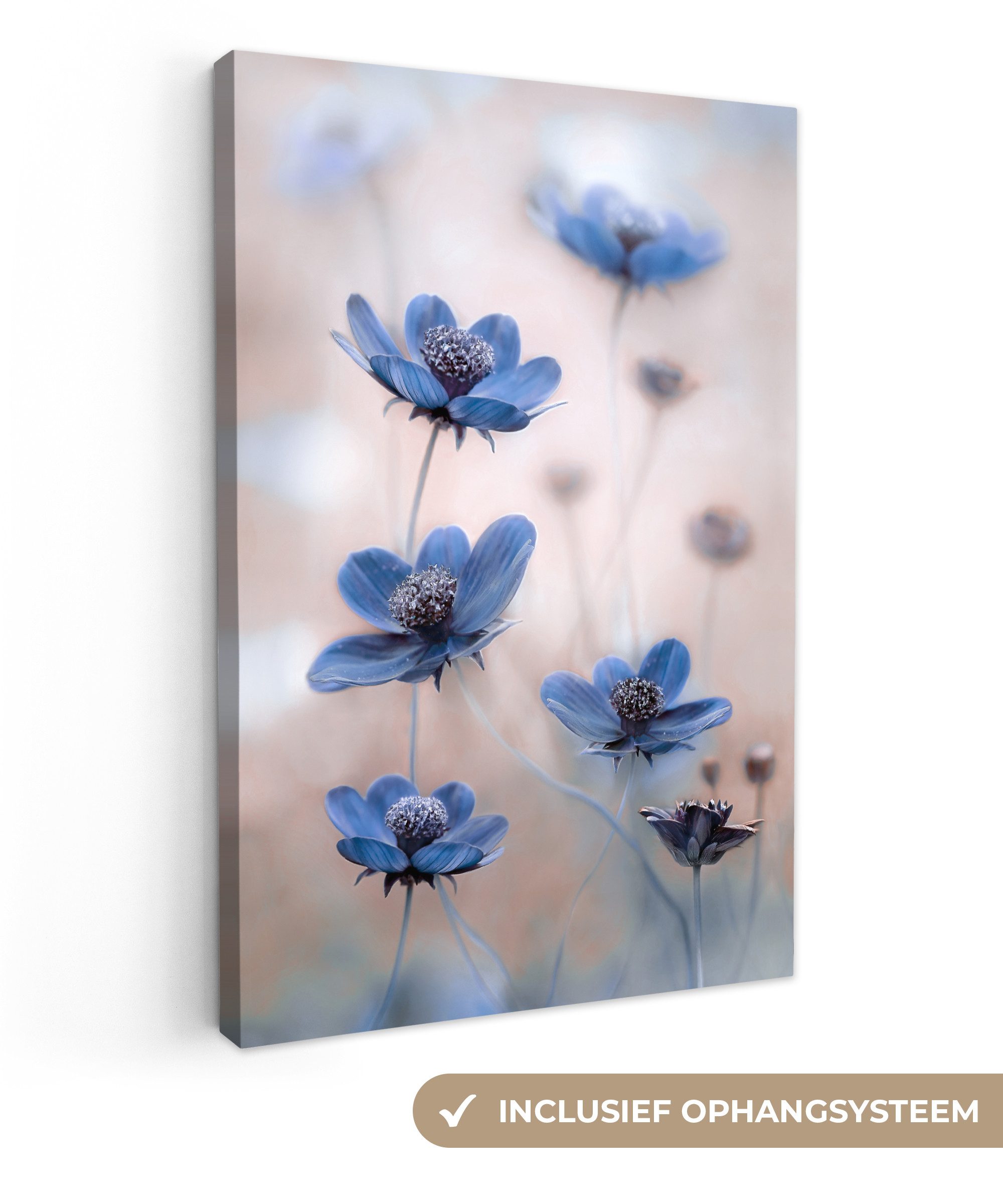 OneMillionCanvasses® Leinwandbild Kosmos - Blumen - Natur - Blau, Fotodruck (1 St), Leinwand Canvas Wandbild, Wanddekoration 20x30 cm