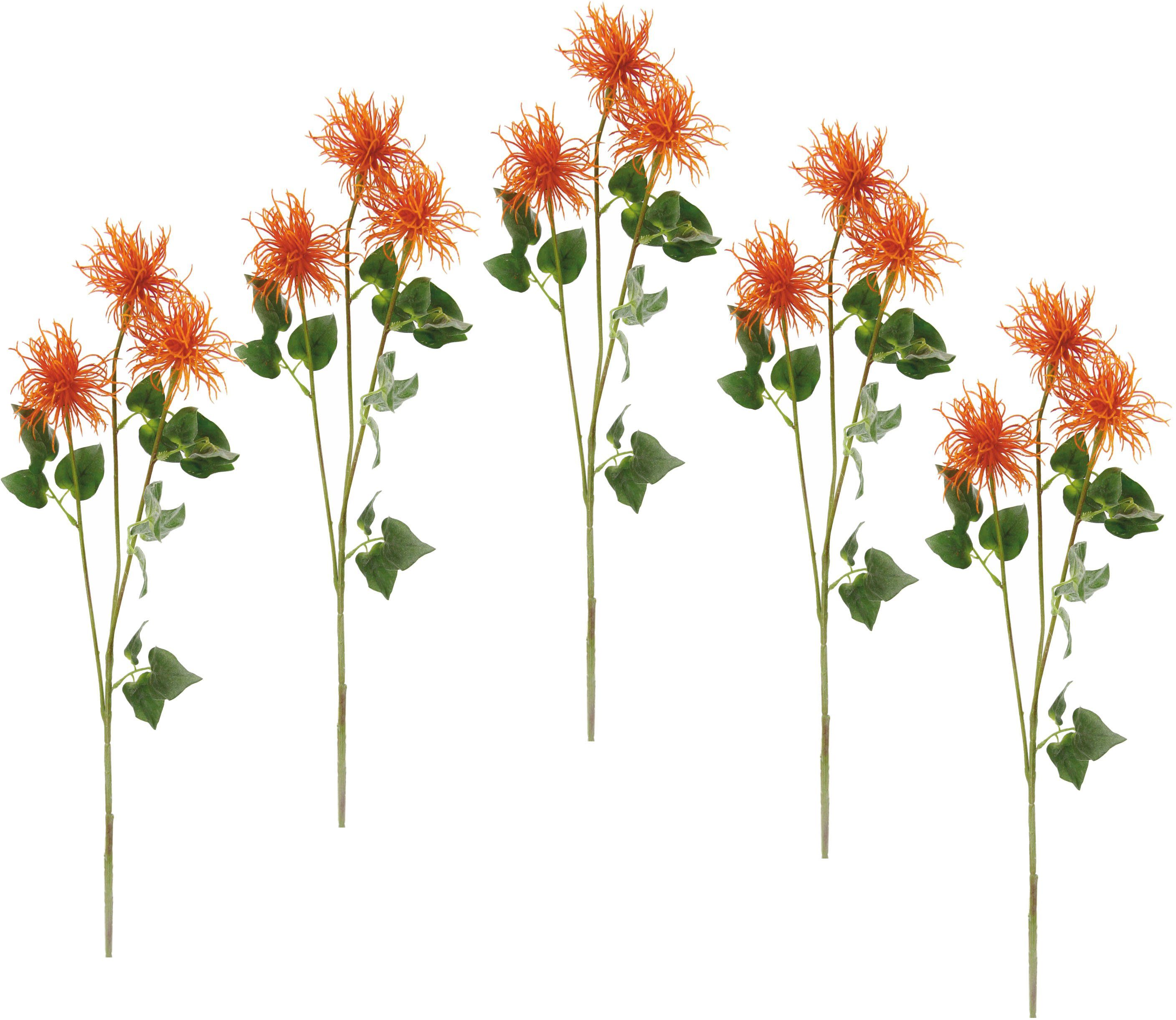 78 cm, 5er Set Höhe orange Kunstblume I.GE.A., Spinnenprotea,