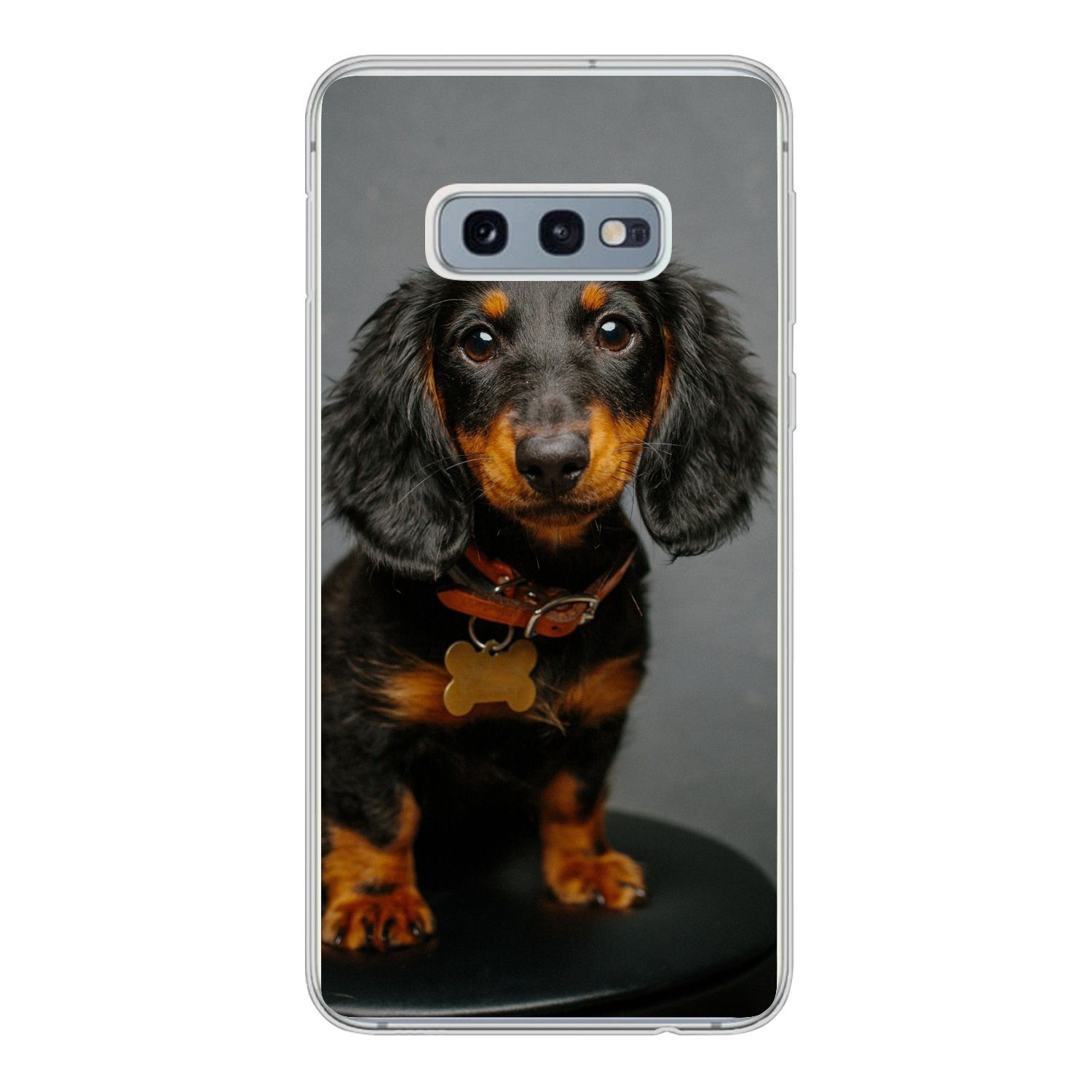 MuchoWow Handyhülle für Samsung Galaxy S10e Studiofoto eines Dackelwelpen, Phone Case, Silikon, Schutzhülle Dünn