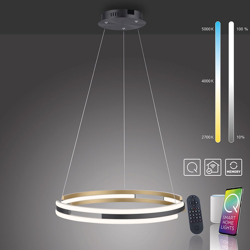 Paul Neuhaus Smarte LED-Leuchte LED Pendelleuchte Q-BELUGA Smart Home, Smart Home, Dimmfunktion, Memoryfunktion, CCT, mit Leuchtmittel, warmweiß, tageslichtweiß, Works with Alexa, APP, Fernbedienung