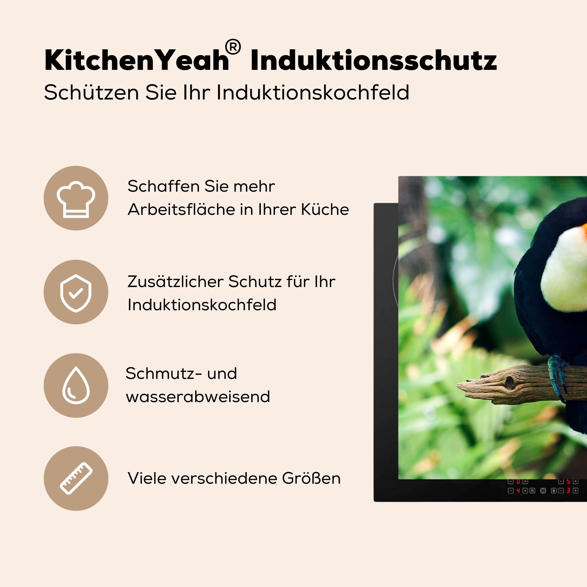 schaut Ein Schutz MuchoWow küche, Herdblende-/Abdeckplatte Induktionskochfeld Ceranfeldabdeckung Vinyl, Ast für 71x52 tlg), (1 Tukan herunter, cm, einem von die