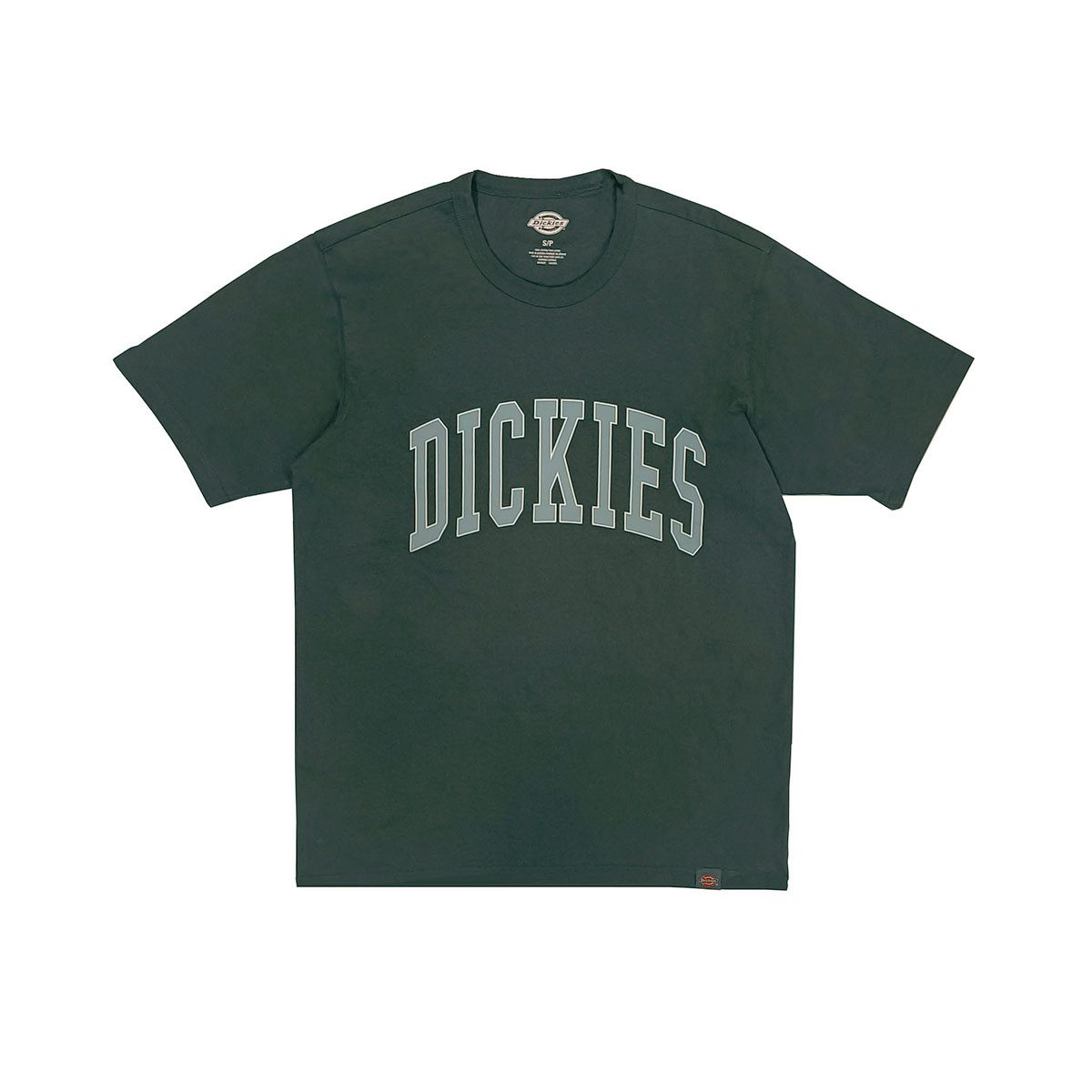 Dickies T-Shirt Aitkin (1-tlg., kein Set)