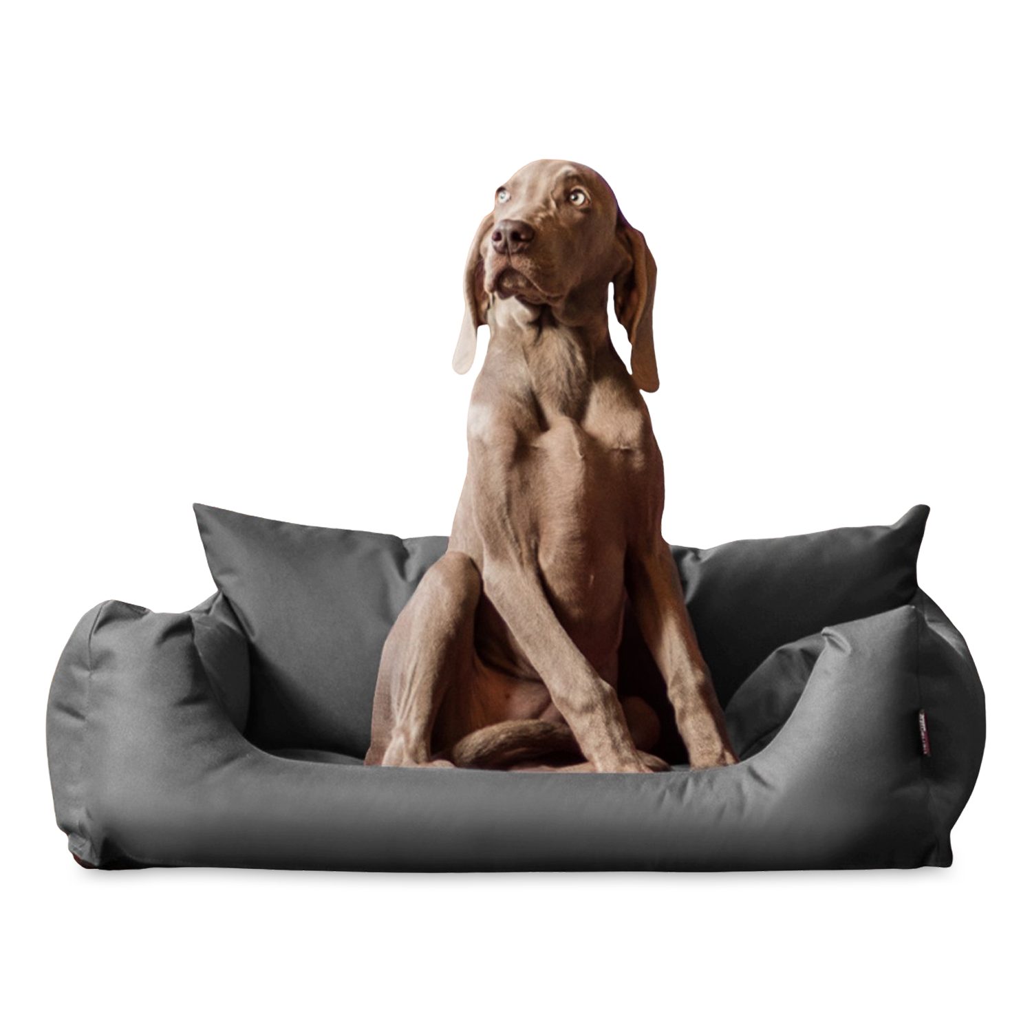 Tierbett NEMO Hundebett Hundesofa S M L Hundekorb