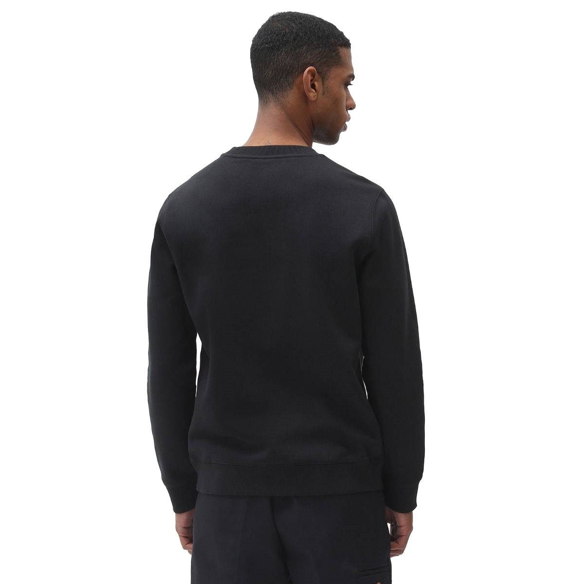 Dickies Sweater Sweatshirt Dickies Oakport günstig online kaufen