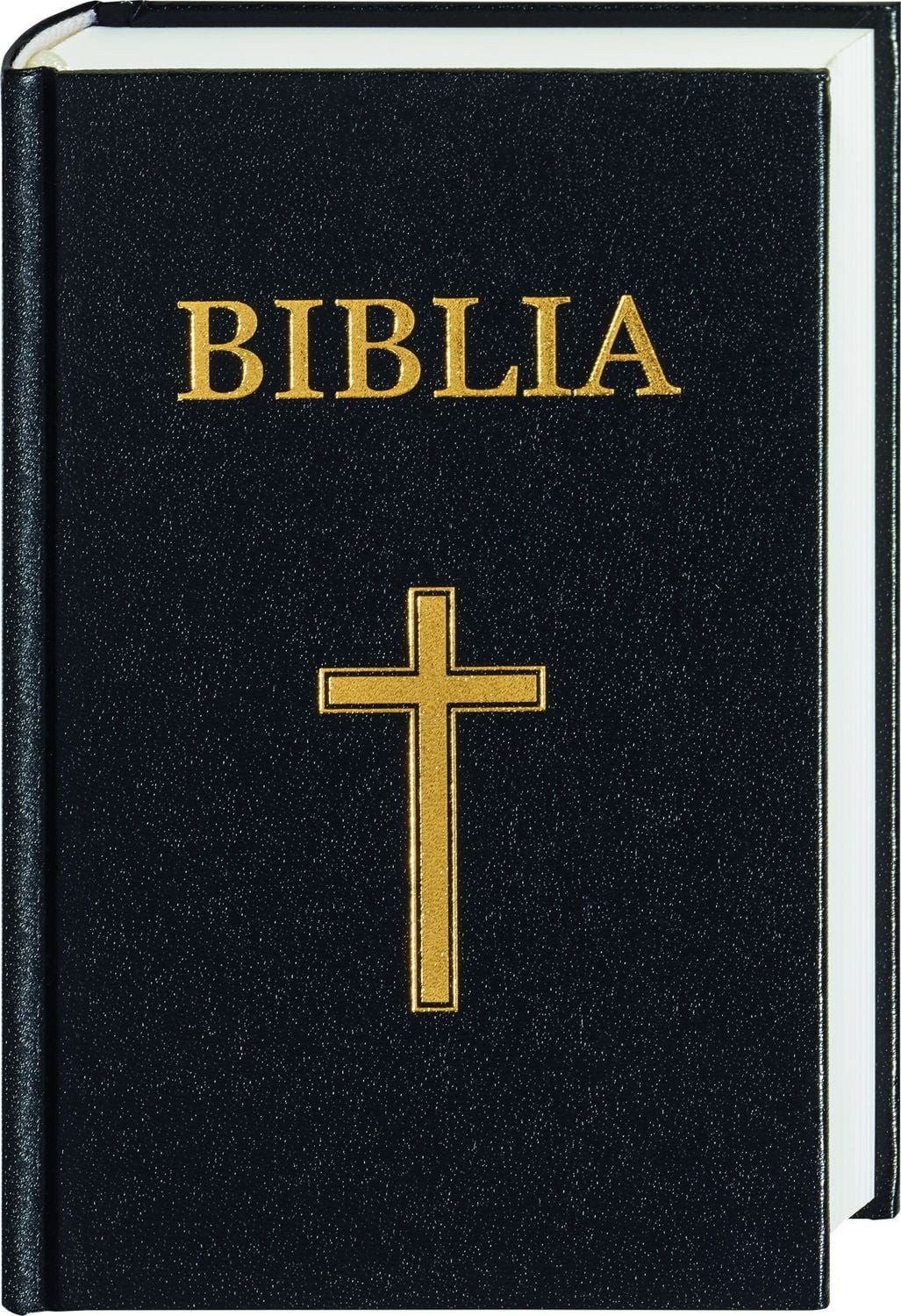 Biblia - Bibel Rumänisch / diverse