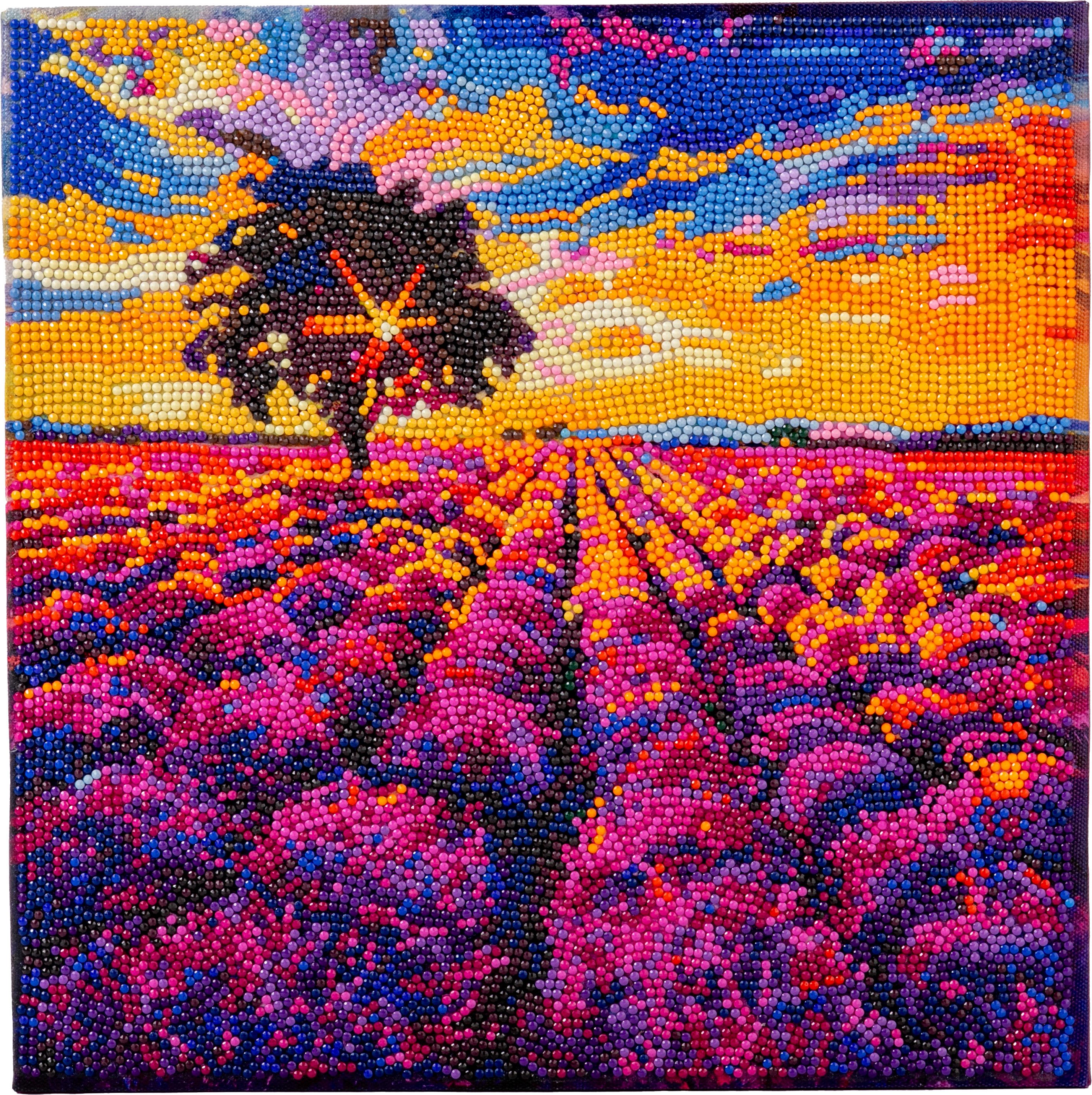 CRAFT Buddy Malvorlage Diamond Painting Crystal Art Kit, 30x30cm