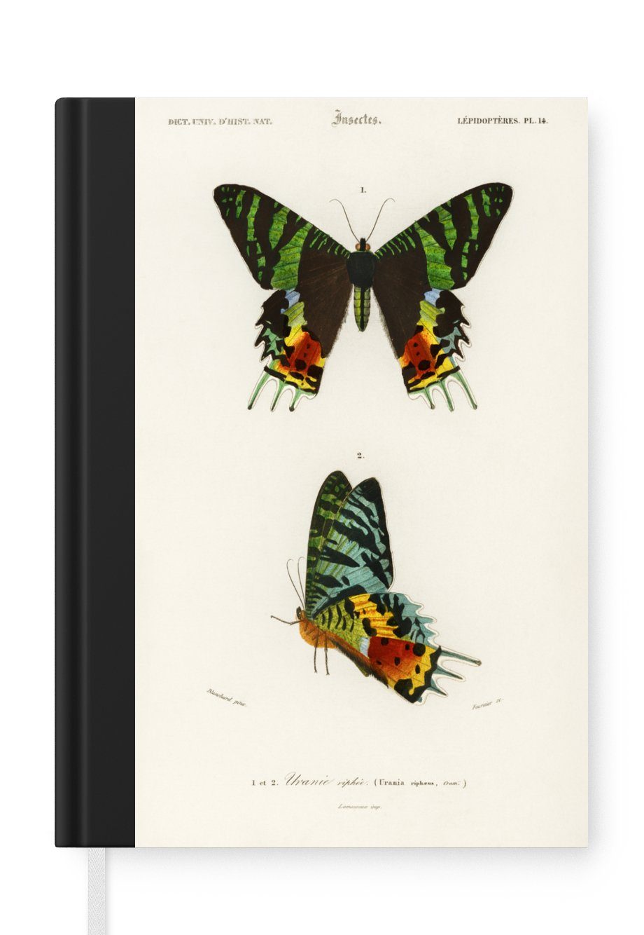MuchoWow Notizbuch Schmetterling - Vintage - Insekten, Journal, Merkzettel, Tagebuch, Notizheft, A5, 98 Seiten, Haushaltsbuch