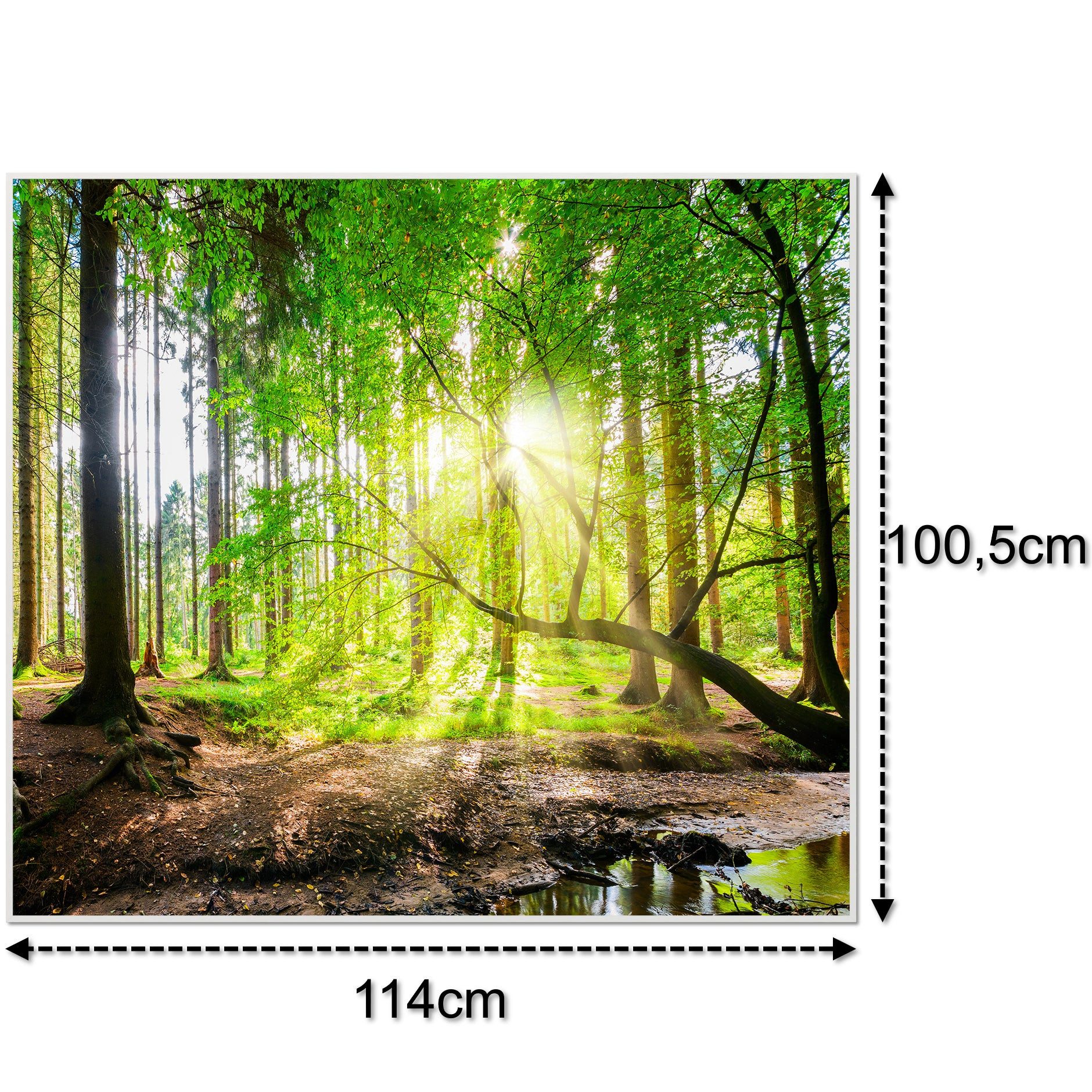 STEINFELD Heizsysteme Infrarotheizung Bild 1200W, 114x100cm, Made in Germany, 7 Jahre Garantie, mit Thermostat, Silber