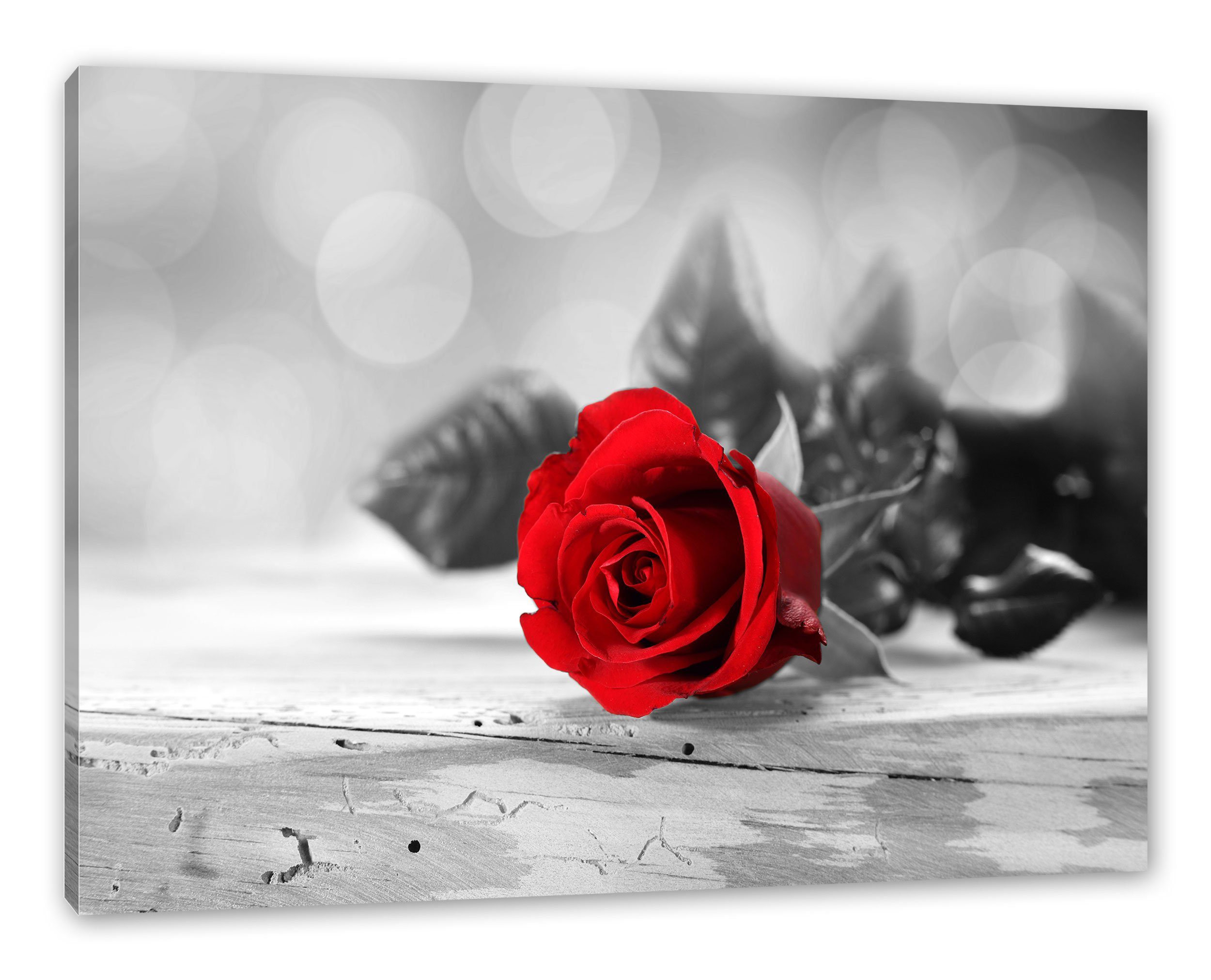 auf Rose fertig Rose Leinwandbild bespannt, St), Pixxprint inkl. Leinwandbild (1 Holztisch Holztisch, Zackenaufhänger auf