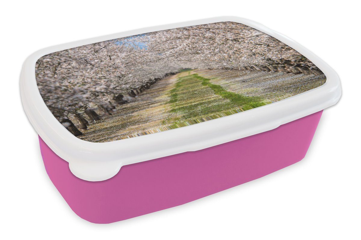 Kunststoff, Kunststoff Mandelbäumen, rosa Weg Kinder, Lunchbox Snackbox, Brotdose (2-tlg), Brotbox für den Mädchen, Erwachsene, zwischen MuchoWow