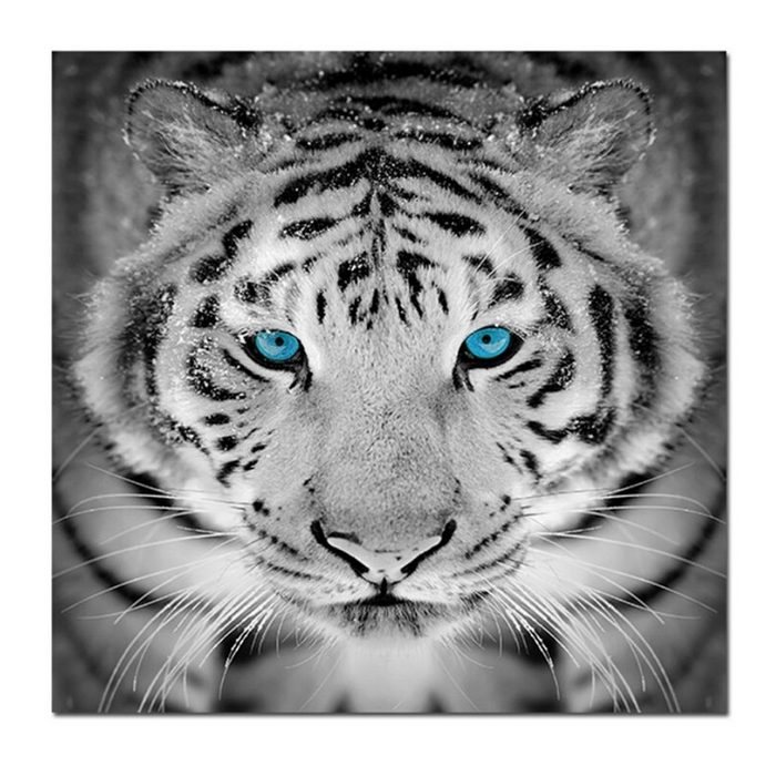 TPFLiving Kunstdruck (OHNE RAHMEN) Poster - Leinwand - Wandbild Schwarz weißer Tiger mit blauen Augen (Verschiedene Größen) Farben: Leinwand bunt - Größe: 20x20cm