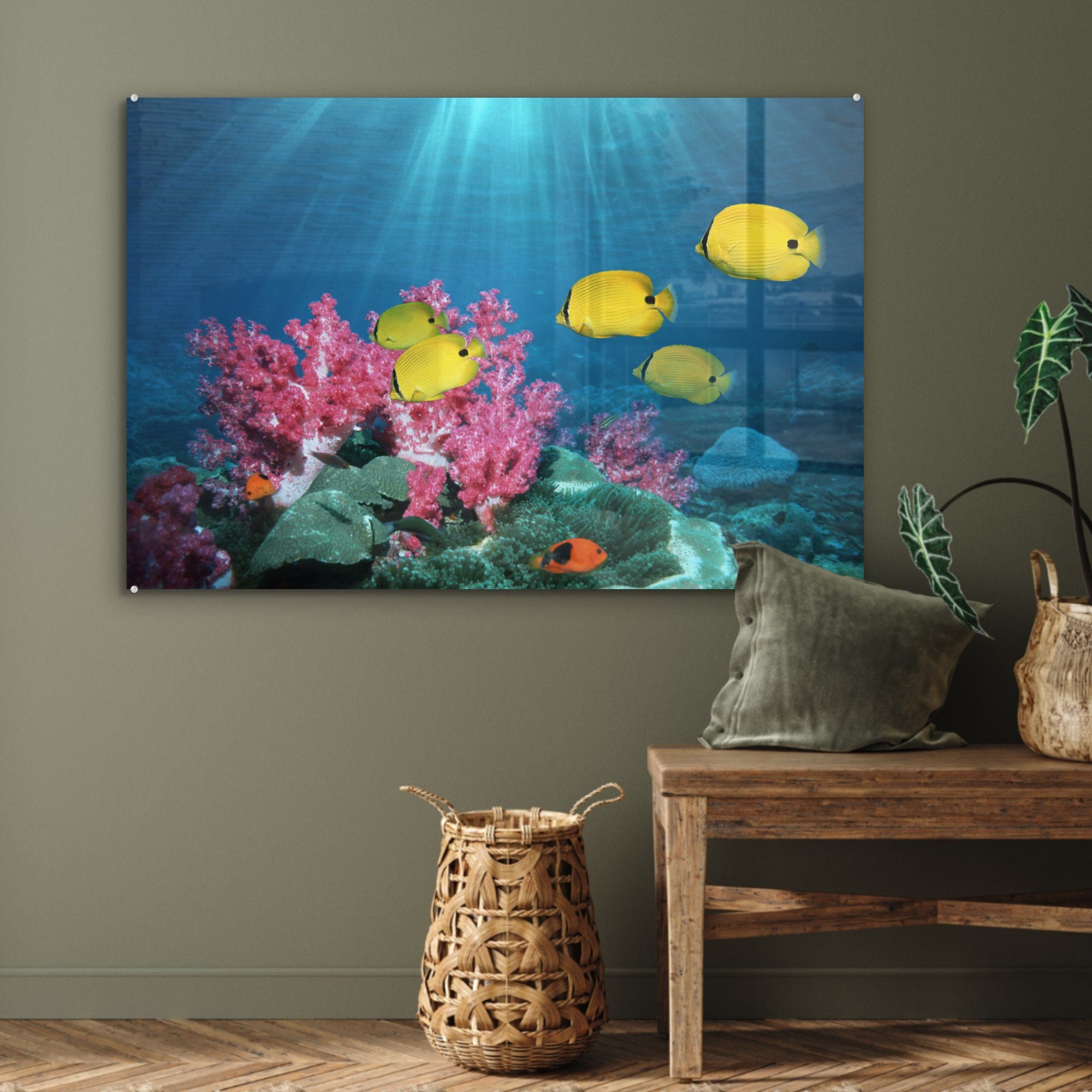 Licht, - Wohnzimmer & Koralle Fisch Acrylglasbilder (1 - Schlafzimmer St), MuchoWow Acrylglasbild