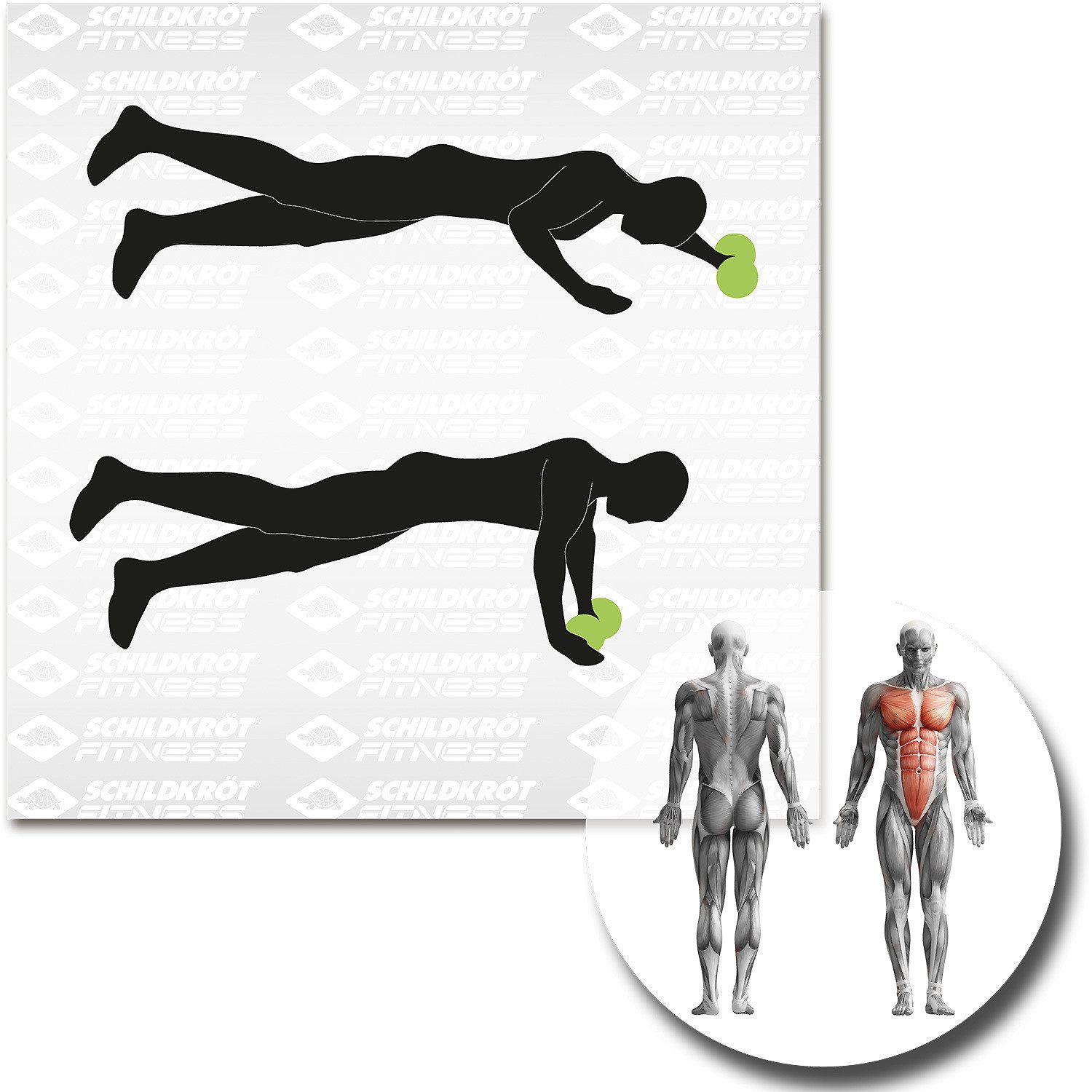 Schildkröt-Fitness Gymnastikball Fitnessgerät DUAL-CORE-WHEELS - 2er Set