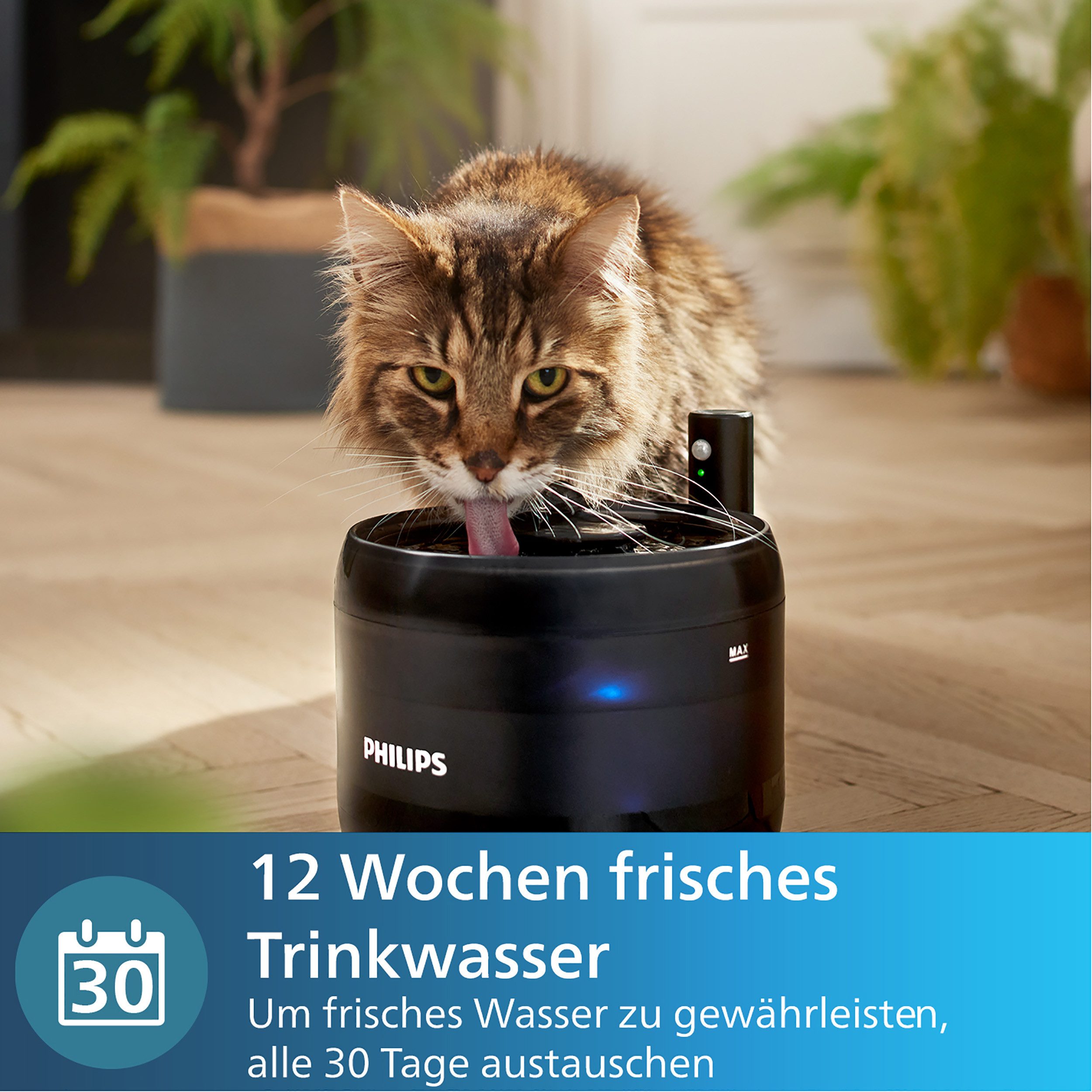 Philips Wasserfilter PAW0010/01 für Wassertränke Philips Pet Series 3000, Zubehör für Philips Pet Series Wassertränke, einschließlich PAW3210/02, mit mehrschich – Bild 5 von 5
