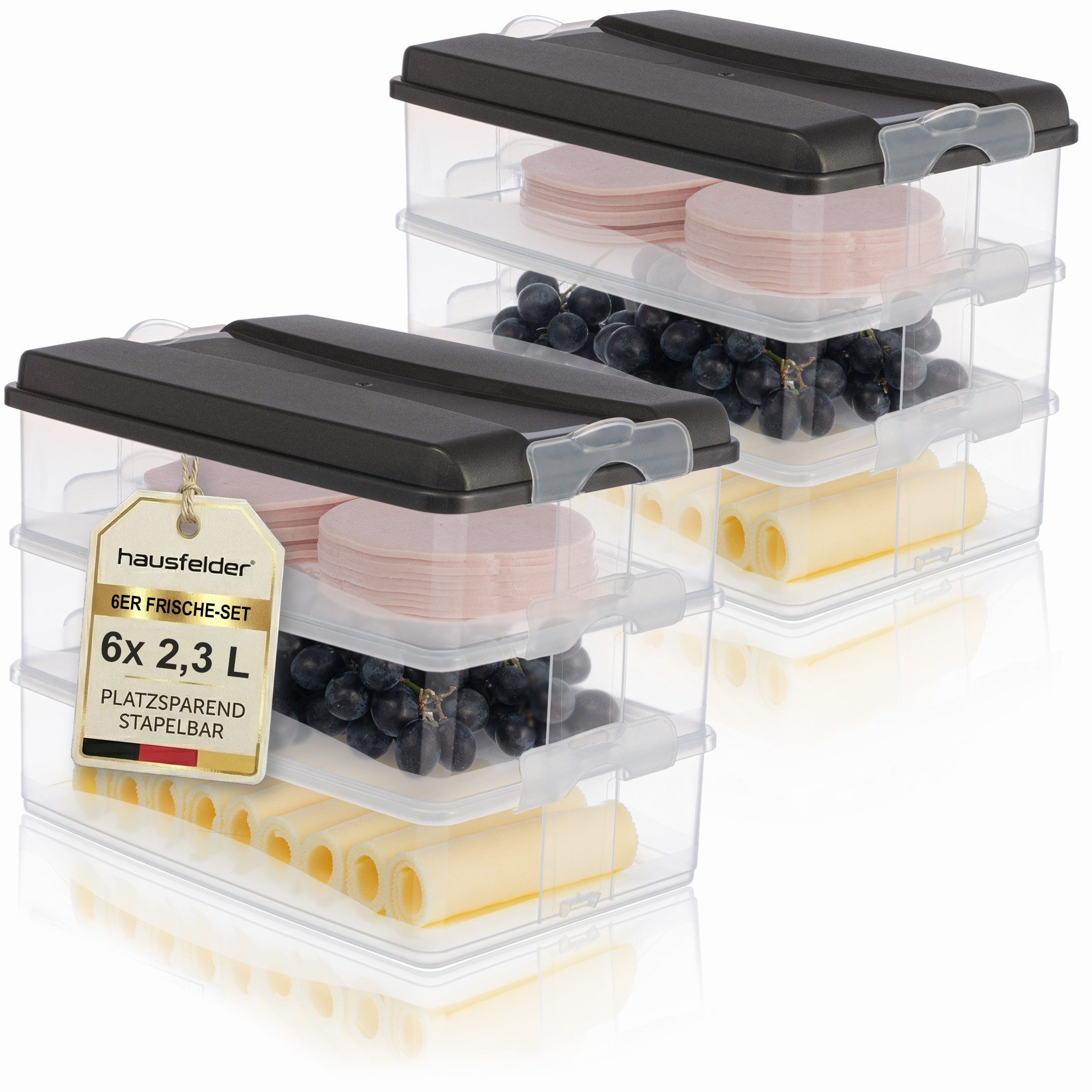 Hausfelder Frischhaltedose Aufschnittdosen Set mit Deckel, 6 x flach, 2 x hoch, Anthrazit, Kunststoff, (Set, 8-tlg., 6x flach, 2x hoch), Kühlschrank Organizer, BPA-frei, stapelbar