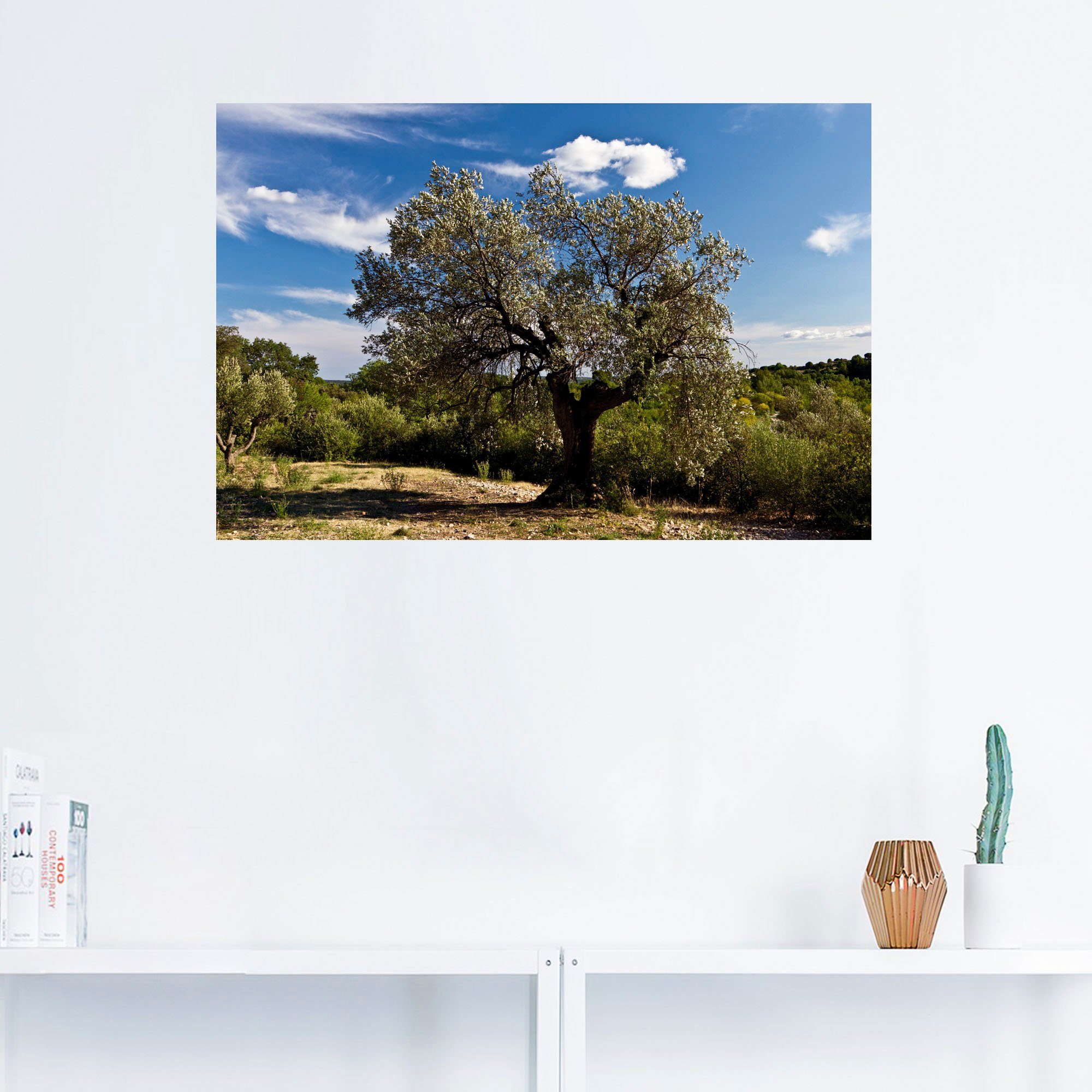 Artland Wandbild Bäume als versch. Südfrankreich, in in Leinwandbild, Wandaufkleber Poster oder Größen St), (1 Alubild, Olivenbaum