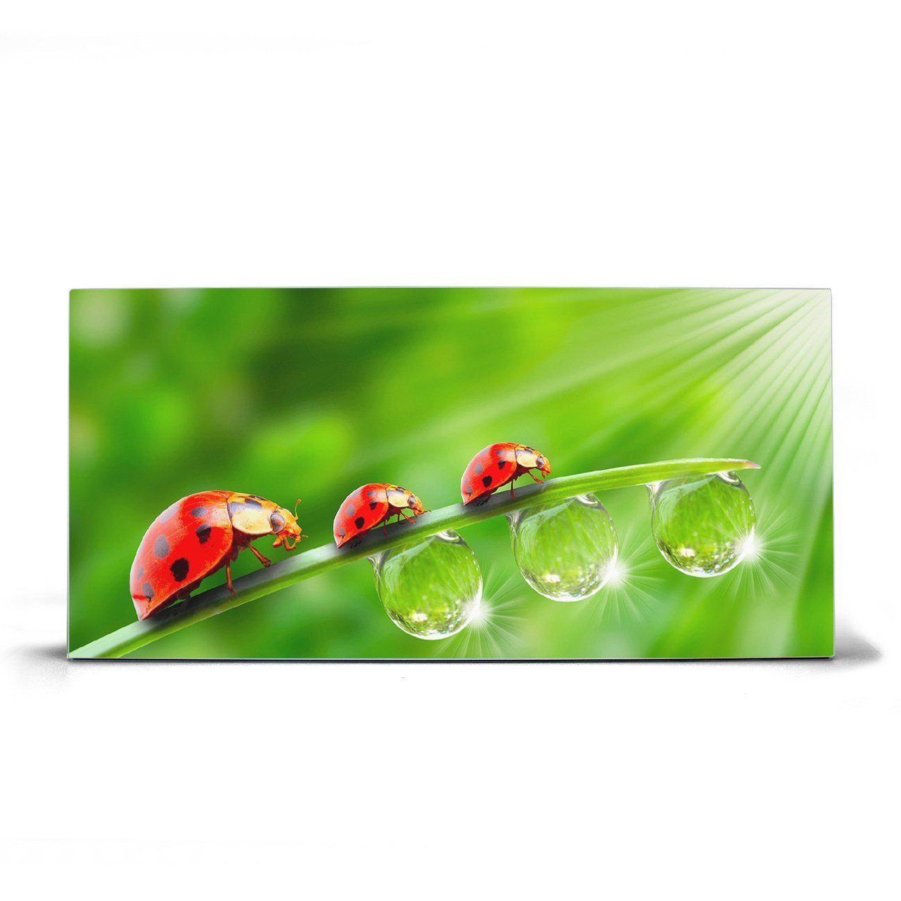 banjado Magnettafel Stahl Für Jeden Einen, (inkl. 4 Magnete, Stahlmagnettafel)