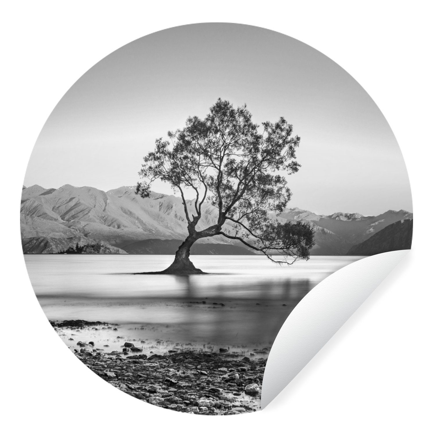 MuchoWow Wandsticker Neuseeland - Baum - Schwarz - Weiß (1 St), Tapetenkreis für Kinderzimmer, Tapetenaufkleber, Rund, Wohnzimmer