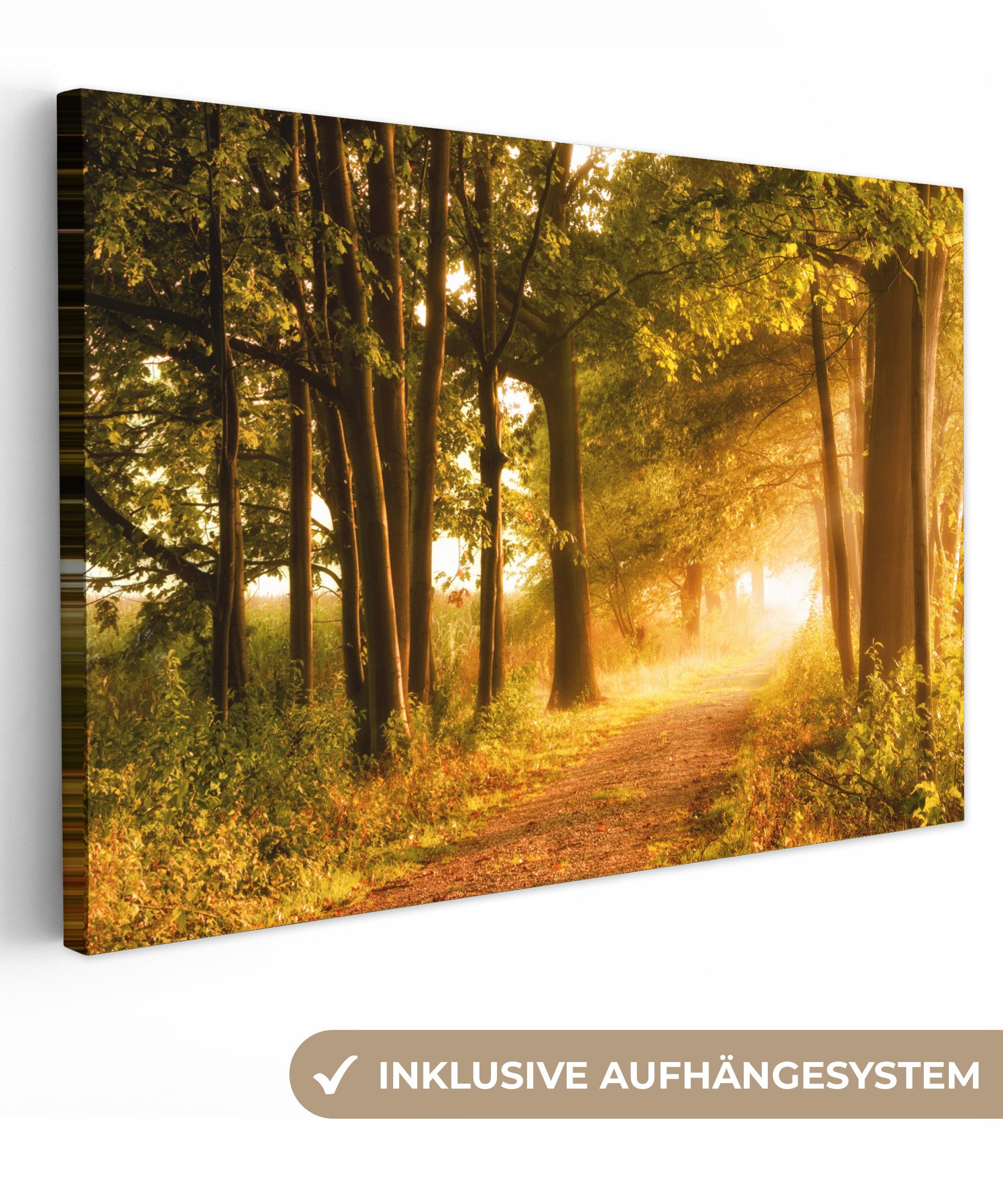 OneMillionCanvasses® Leinwandbild Wald - Bäume - Sonnenlicht - Herbst - Weg günstig online kaufen