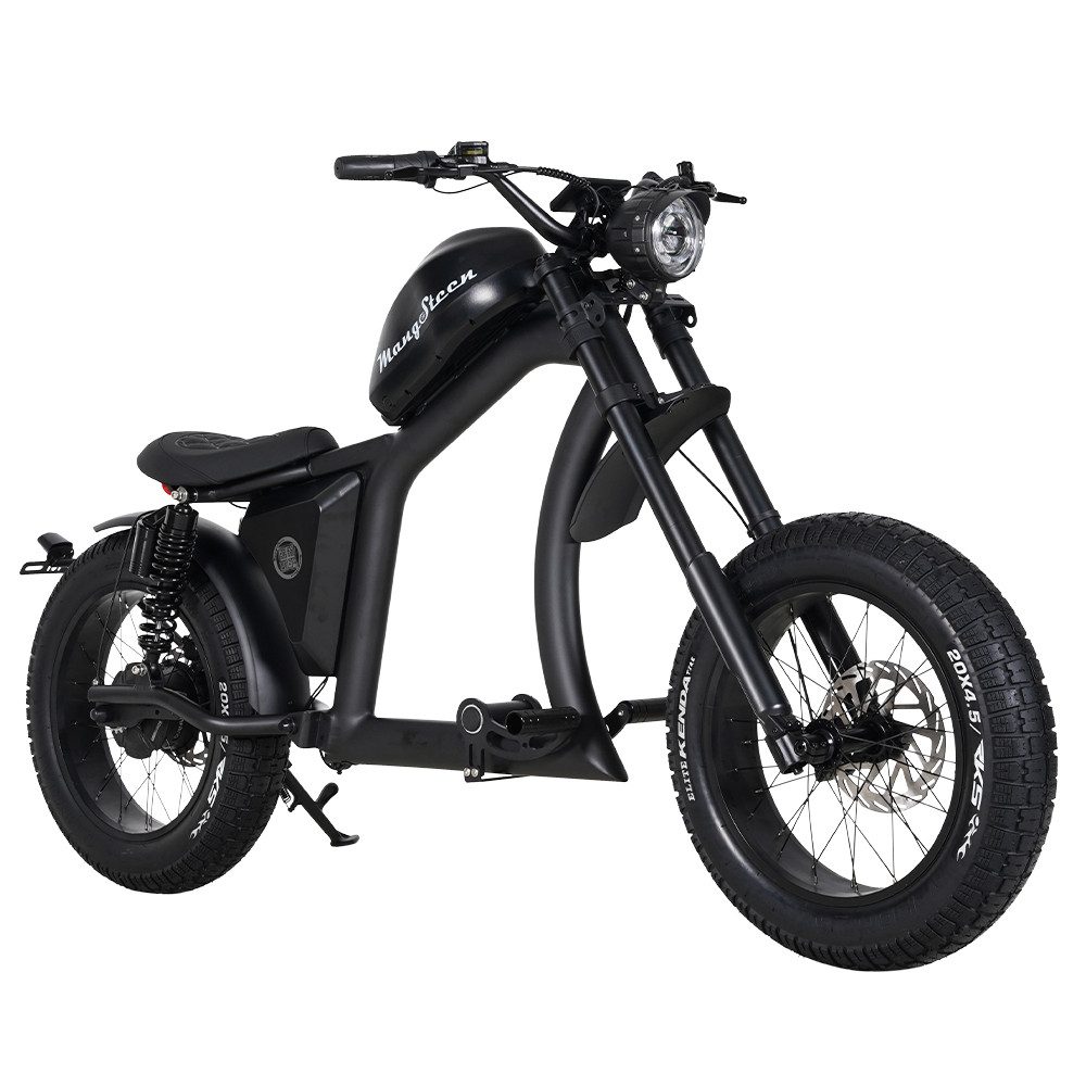 Vankel E-Motorroller FT02-EEC 48V 1000W Motor 30AH 45km/h Bis zu 75km, 45 km/h, 75 km Reichweite, scheibenbremsen, StoBdämpfer vorne und hinten