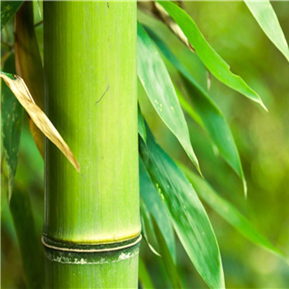 FLEXISPOT Tischplatte DIY Tischplatten (Holzwerkstoff, Farbe auswählbar, Gr günstig online kaufen