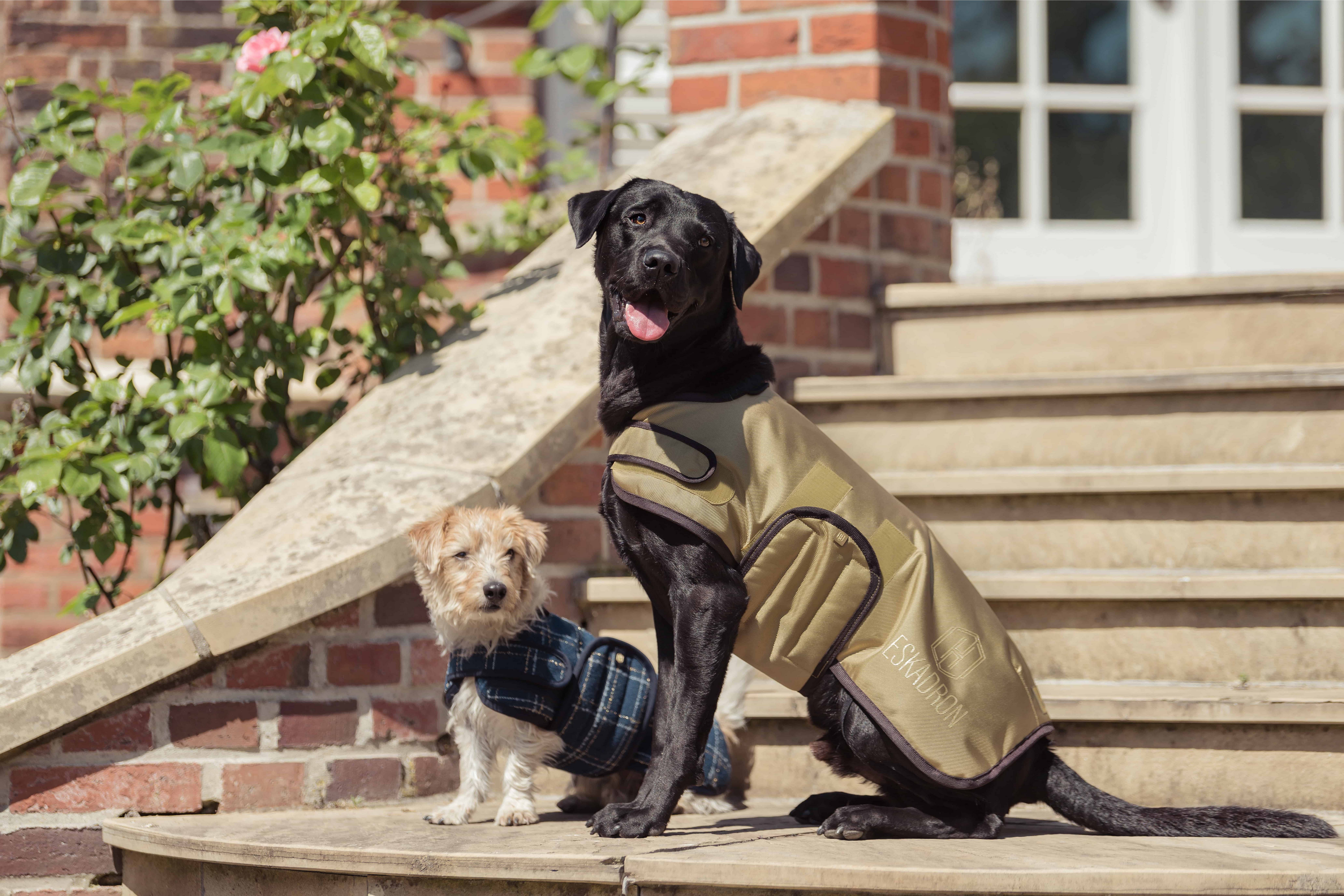 Eskadron Hundemantel Hundemantel Heritage Bouclé in navy