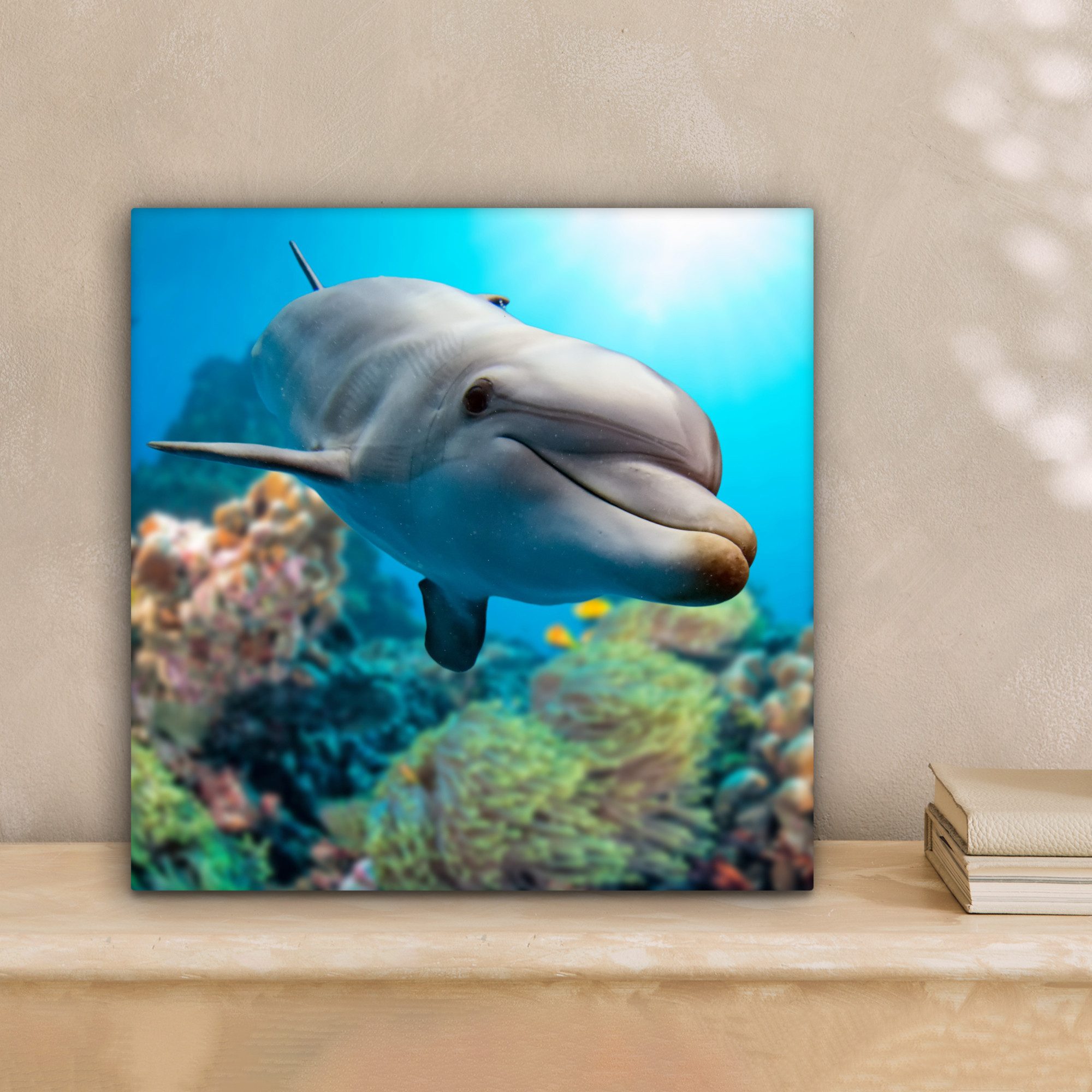 OneMillionCanvasses® Leinwandbild Delfin - Meer - günstig online kaufen