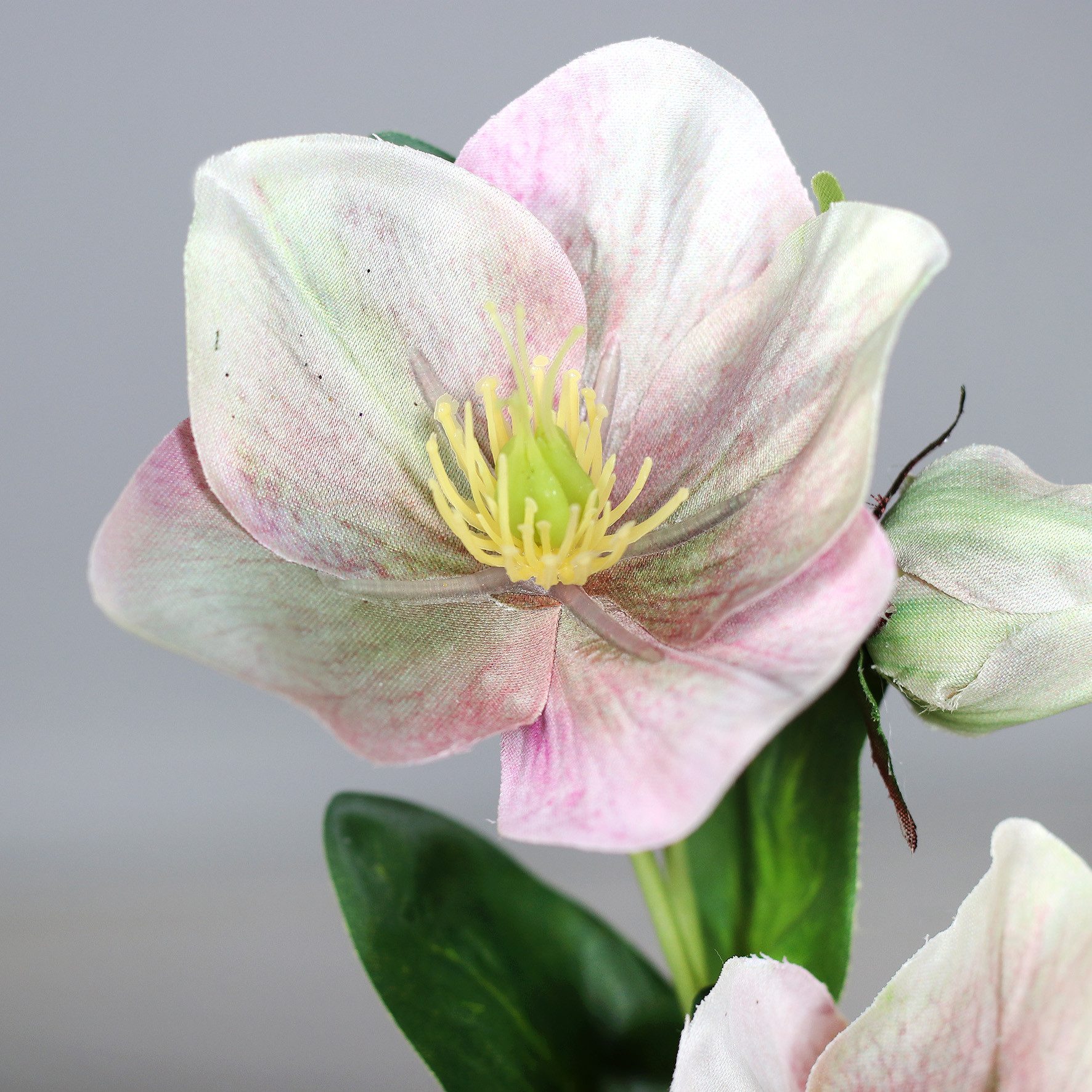 Kunstblume Christrosenzweig 35cm DP künstliche Christrose Schneerose Blumen günstig online kaufen