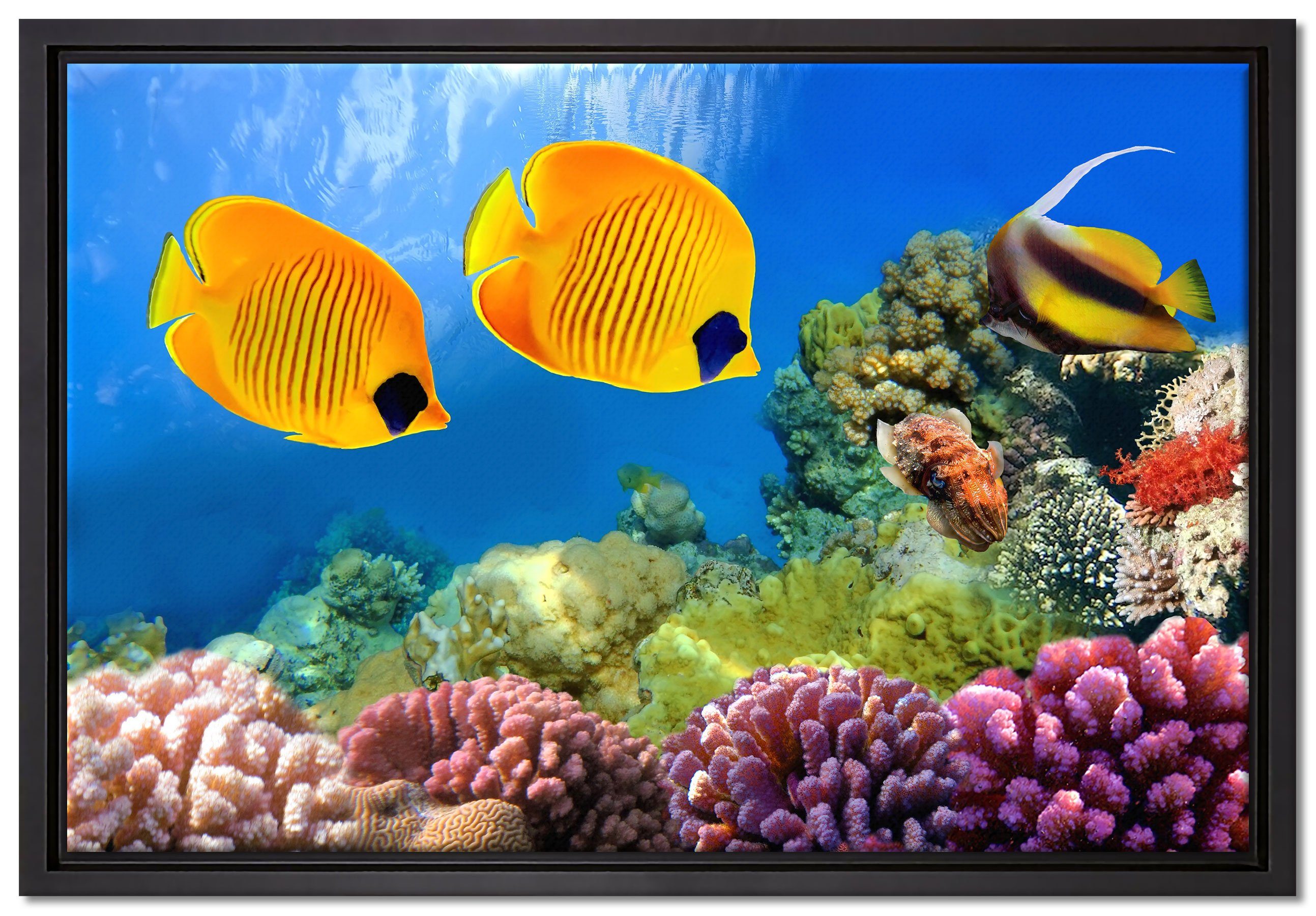 Pixxprint Leinwandbild Fische Korallenriff, Wanddekoration (1 St), Leinwandbild fertig bespannt, in einem Schattenfugen-Bilderrahmen gefasst, inkl. Zackenaufhänger