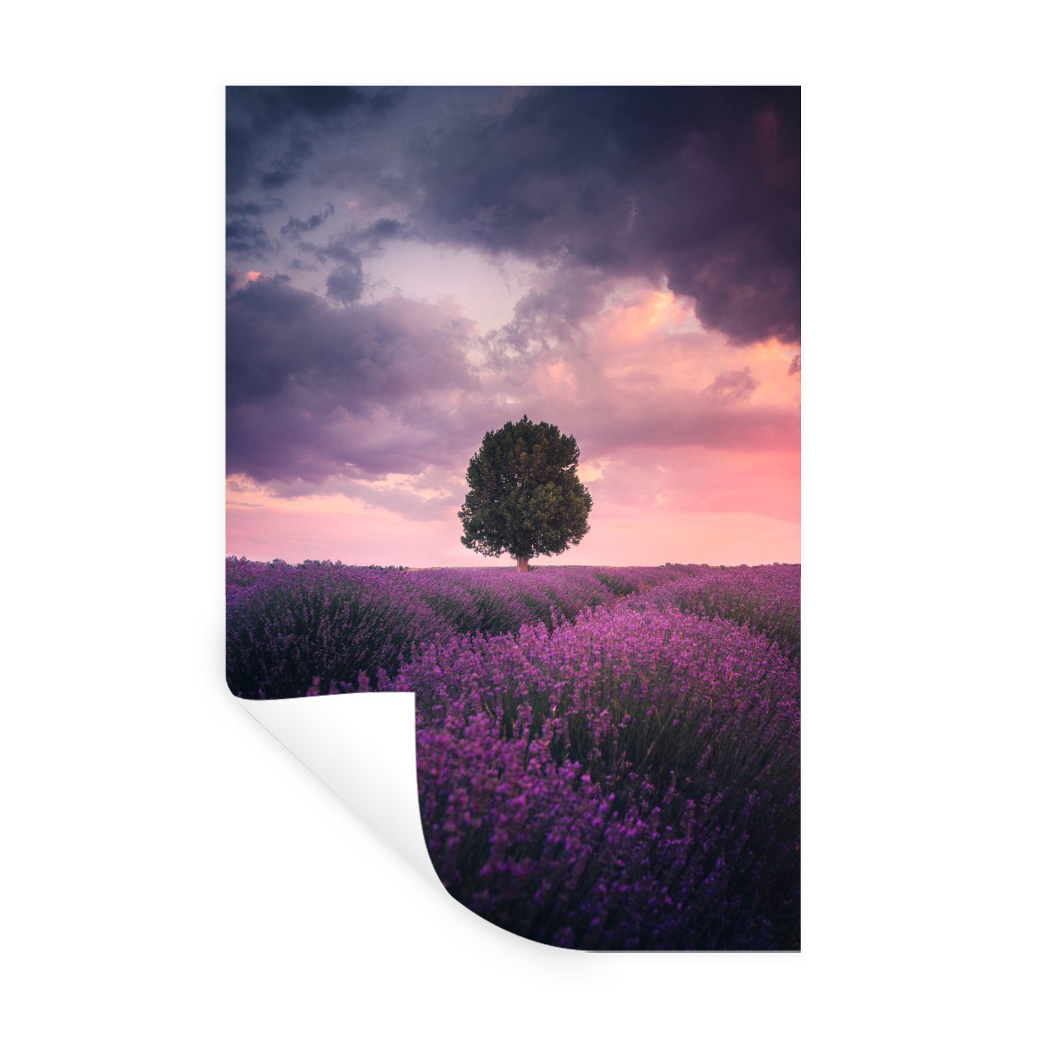 MuchoWow Wandsticker Lavendel - Blumen - Lila - Baum - Natur (1 St), Wandaufkleber, Wandtattoo, Selbstklebend, Wohnzimmer, Schlafzimmer