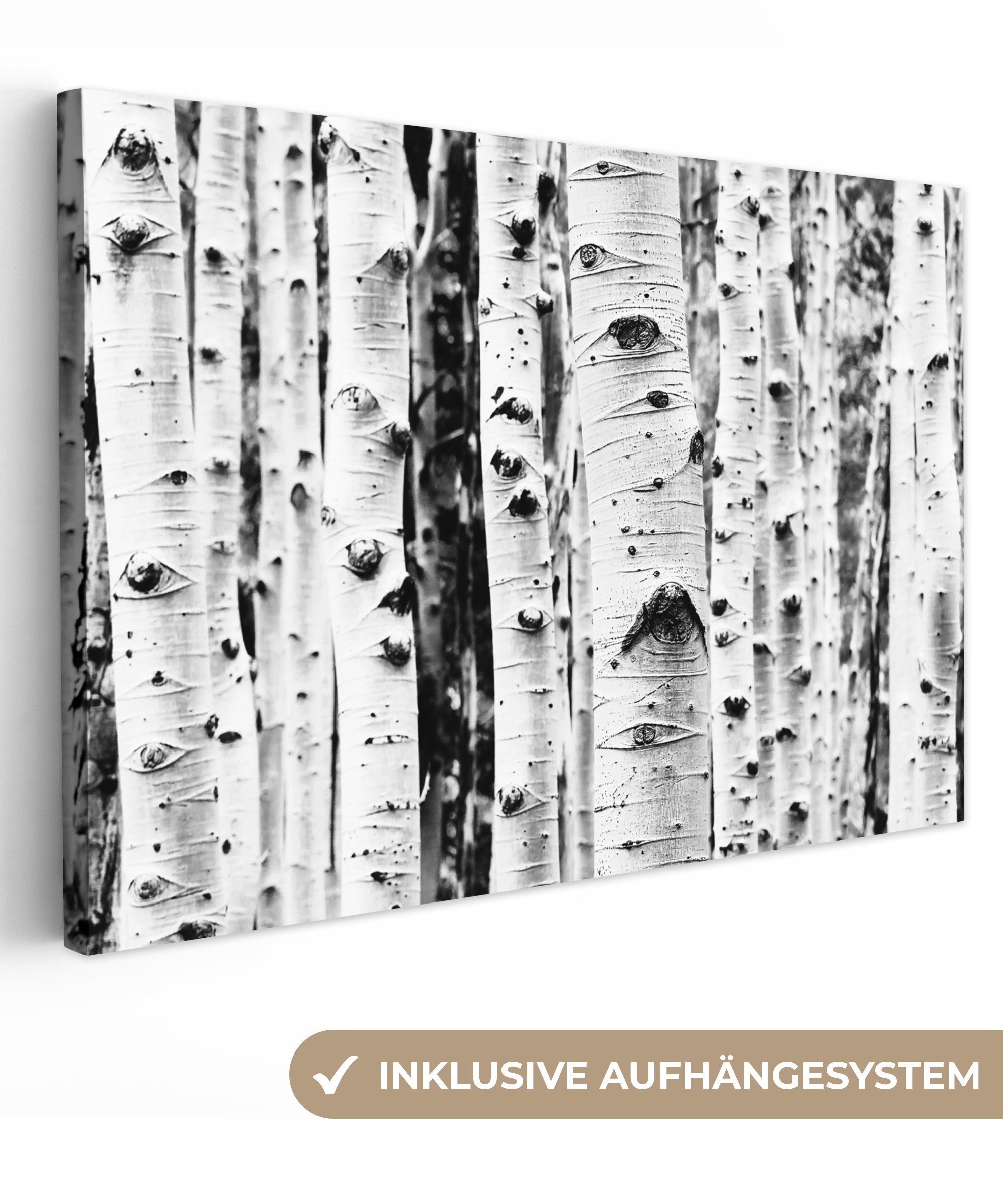 OneMillionCanvasses® Leinwandbild Bäume - Holz - Schwarz und weiß - Natur, günstig online kaufen
