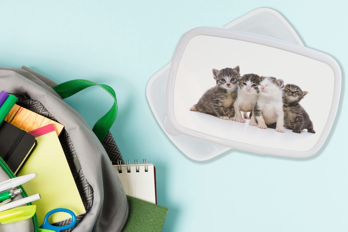 MuchoWow Lunchbox Fell - - Jungs Brotdose, Kunststoff, für Brotbox Porträt, - für Katze Haustiere Mädchen und weiß und (2-tlg), Kinder Erwachsene