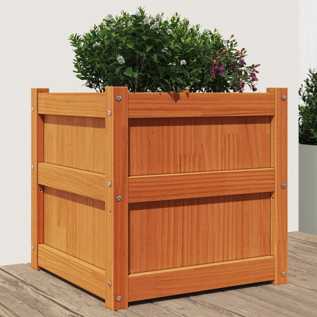 vidaXL Blumentopf Pflanzkübel Wachsbraun 50x50x50 cm Massivholz Kiefer (1 St)