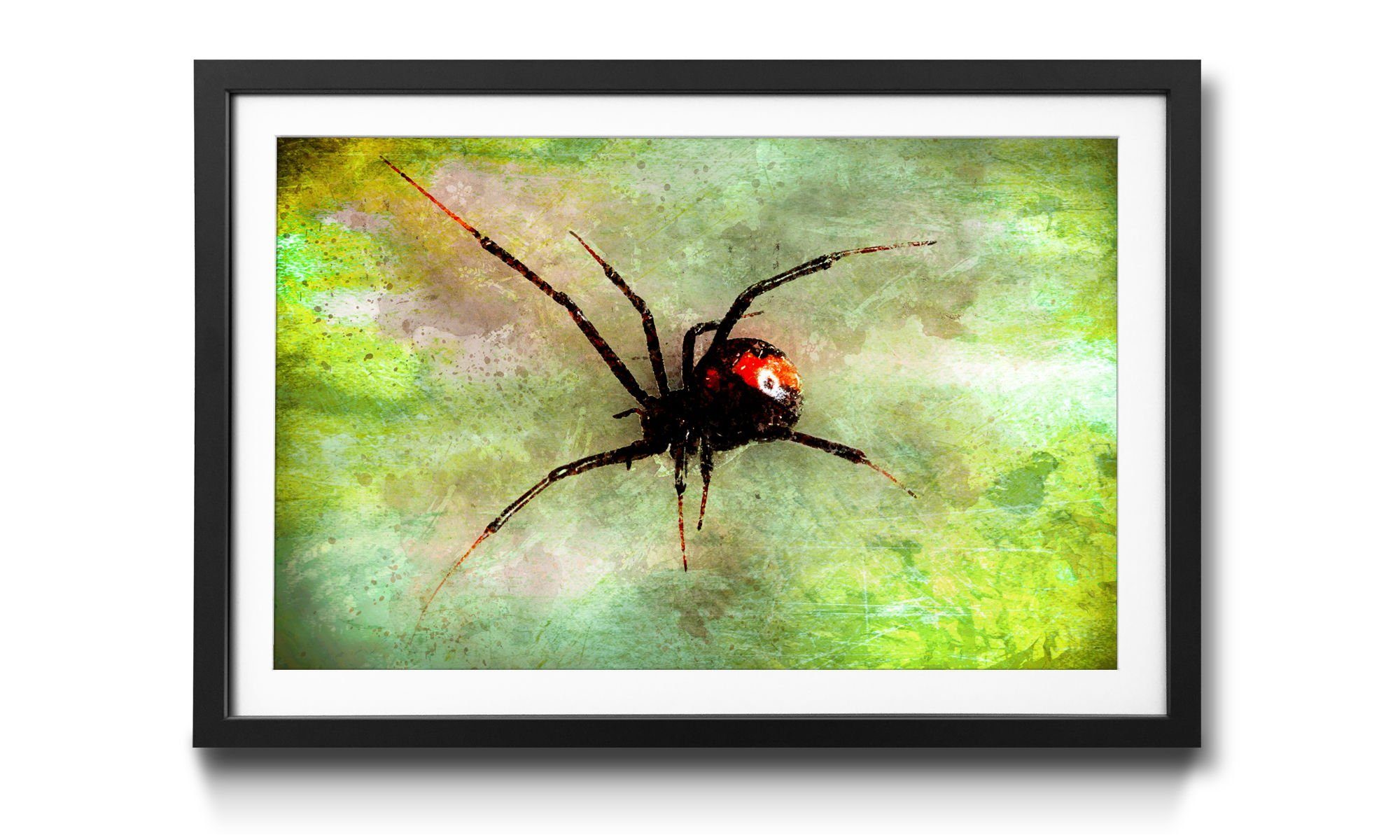 WandbilderXXL Bild mit Rahmen Perfect Creature, Spinne, Wandbild, in 4 Größen erhältlich