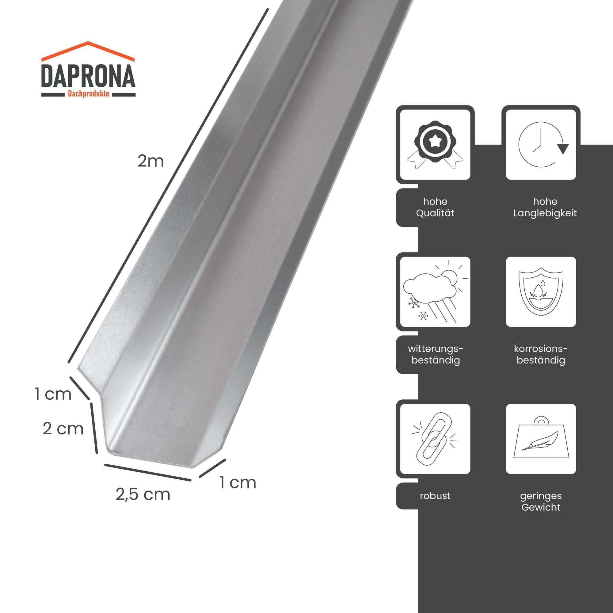 DAPRONA Profil (Attika Blech, Traufenblech 2m, günstig online kaufen