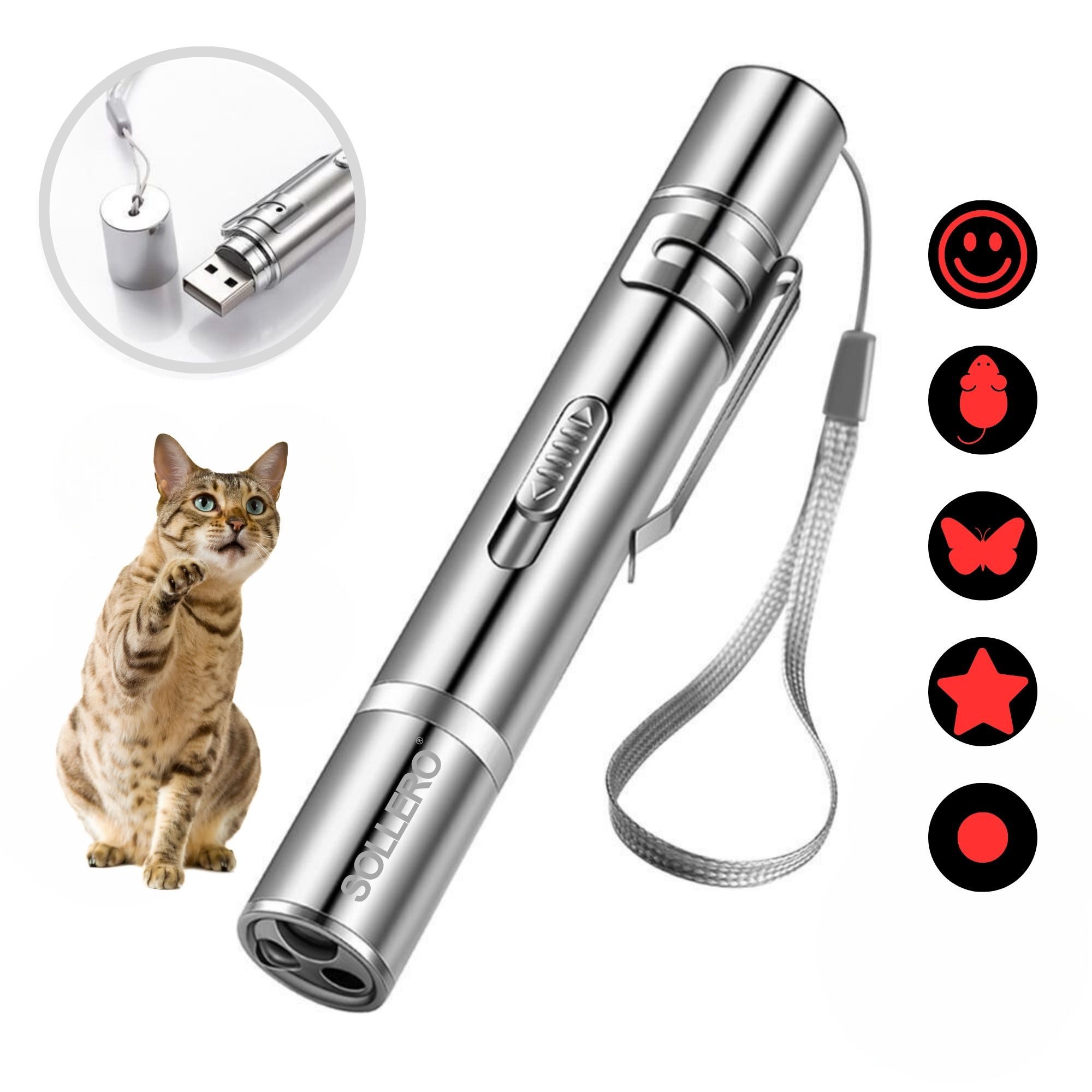 Laserpointer für Katzen Hund Spielzeug Katzenspielzeug
