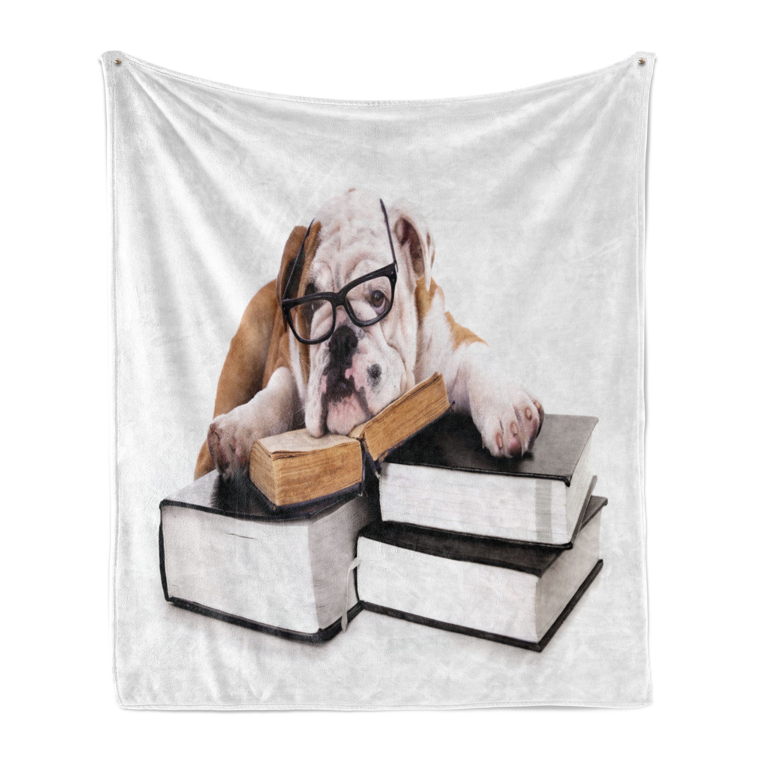 Bulldogge Abakuhaus, Englische Hund Außenbereich, und Plüsch Innen- Gemütlicher Wohndecke Brille für den