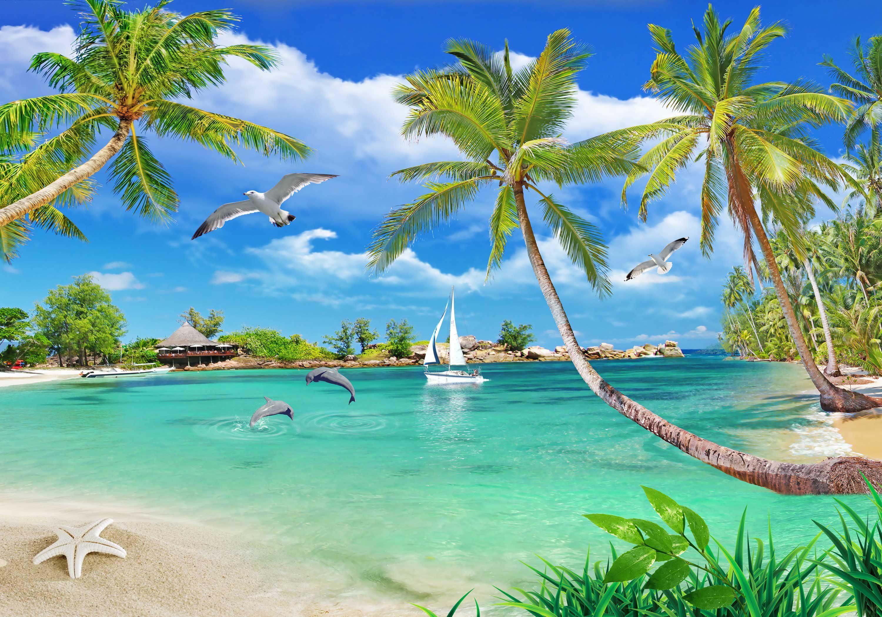 wandmotiv24 Fototapete Meer Karibik Palmen, glatt, Wandtapete, Motivtapete, matt, Vliestapete | Fototapeten