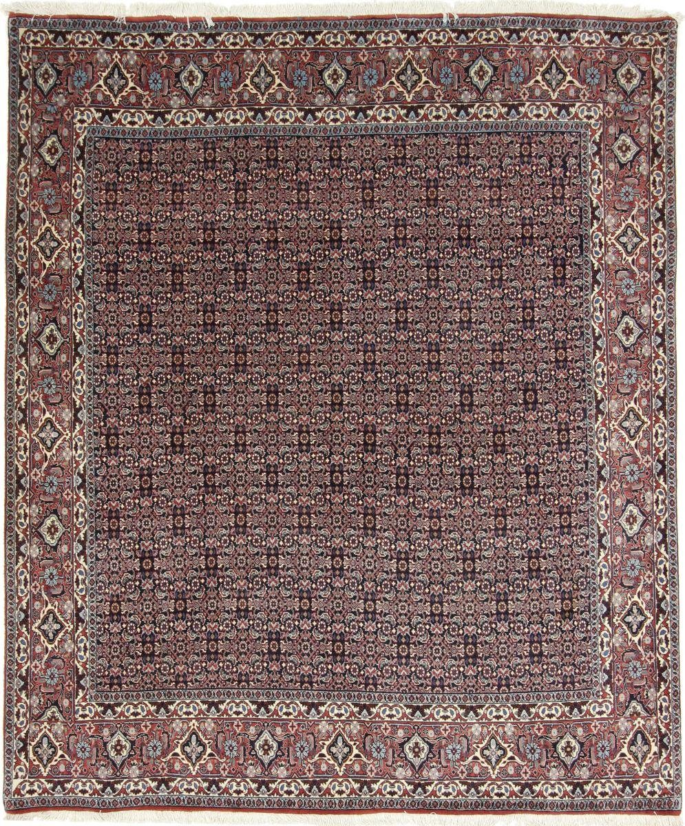 Orientteppich rechteckig, Perserteppich, mm / 15 Bidjar Nain 205x242 Höhe: Orientteppich Trading, Handgeknüpfter