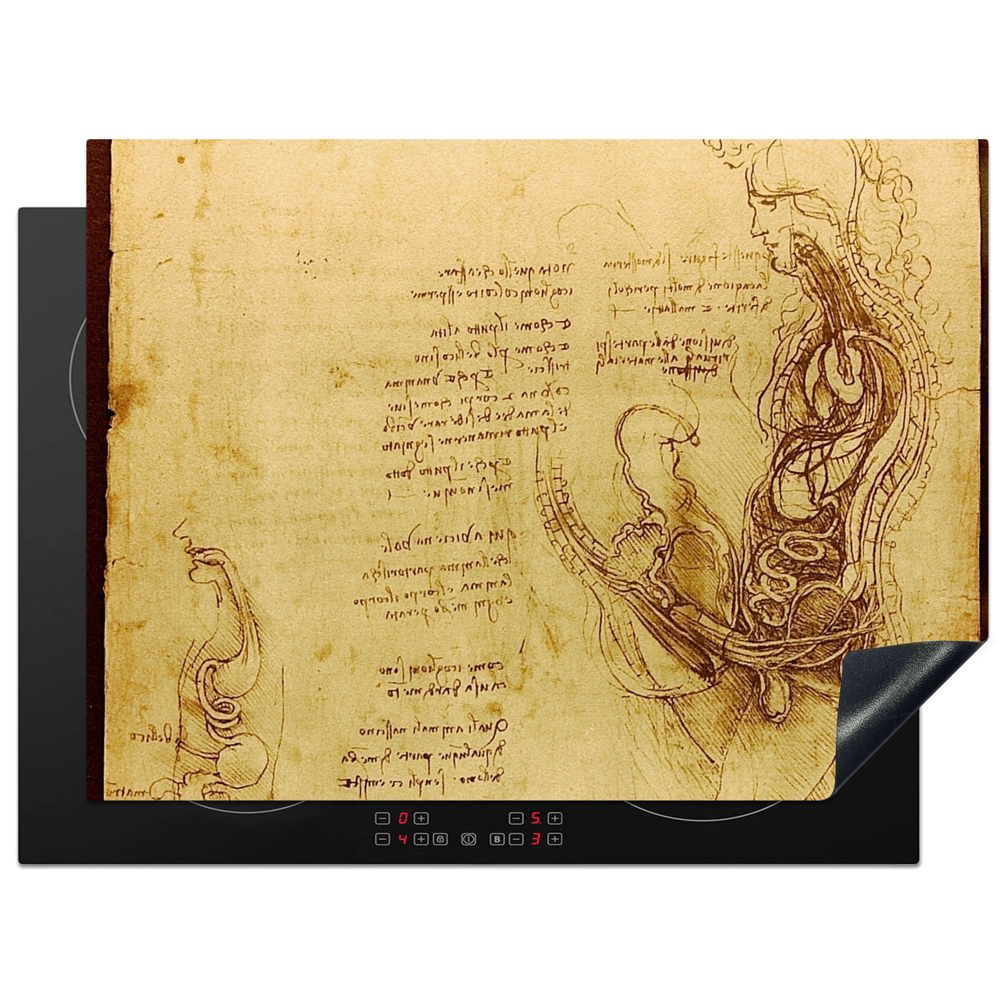 MuchoWow Herdblende-/Abdeckplatte Die menschliche Fortpflanzung - Leonardo da Vinci, Vinyl, (1 tlg), 70x52 cm, Mobile Arbeitsfläche nutzbar, Ceranfeldabdeckung