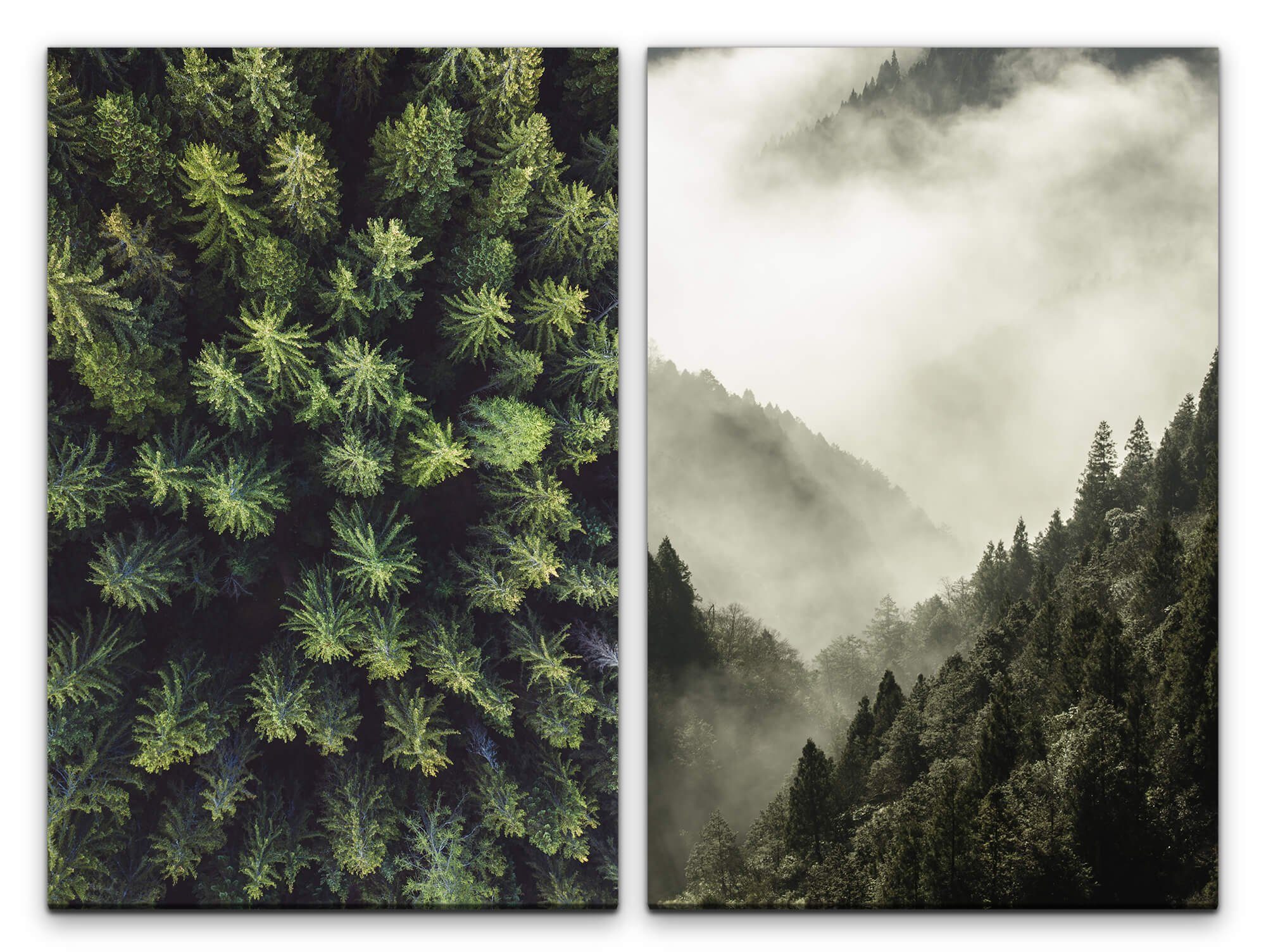 Sinus Art Leinwandbild 2 Bilder je 60x90cm Tannenwald Tannen Vogelperspektive Nebel Wolken Natur Eintracht