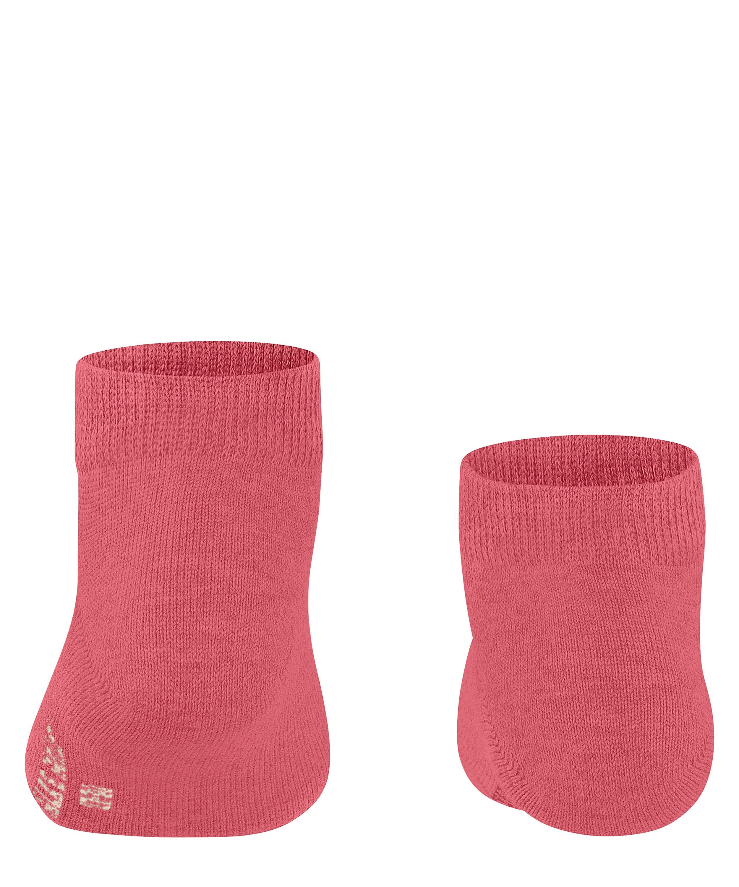 Family (8884) aus Sneakersocken hautfreundlicher coral Baumwolle FALKE (1-Paar)